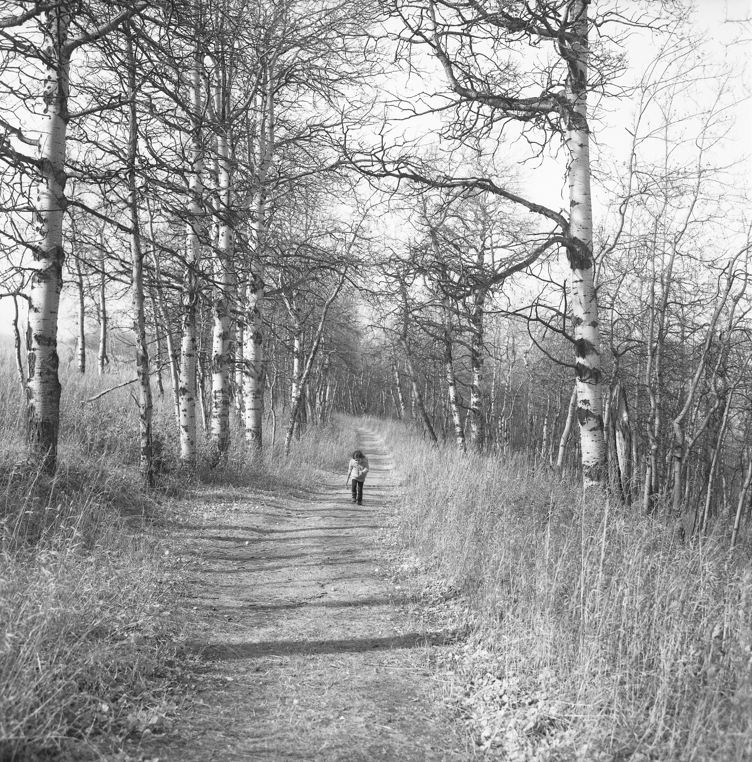 her own path