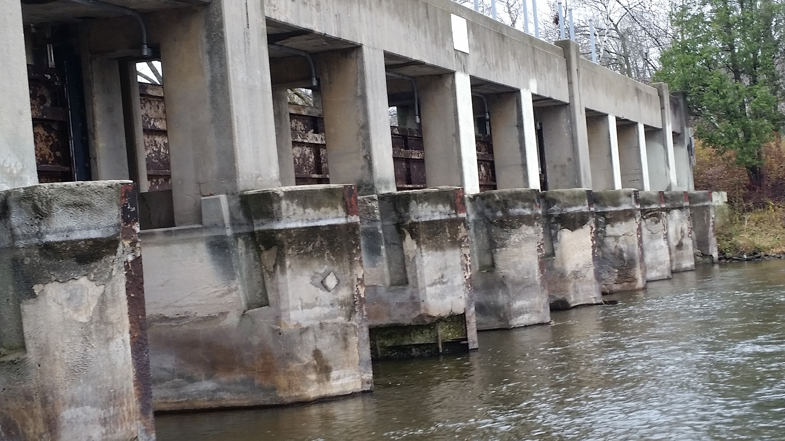 2015-11-17 09.05.18.jpg