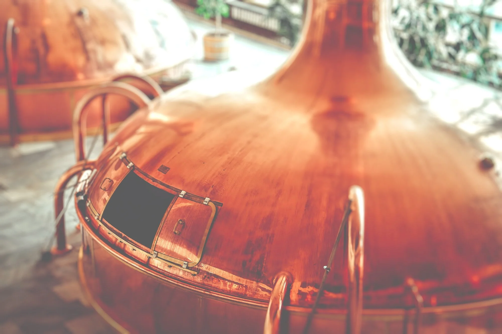 Buy Rocket Vodka Buy our awardwinning California vodka handcrafted