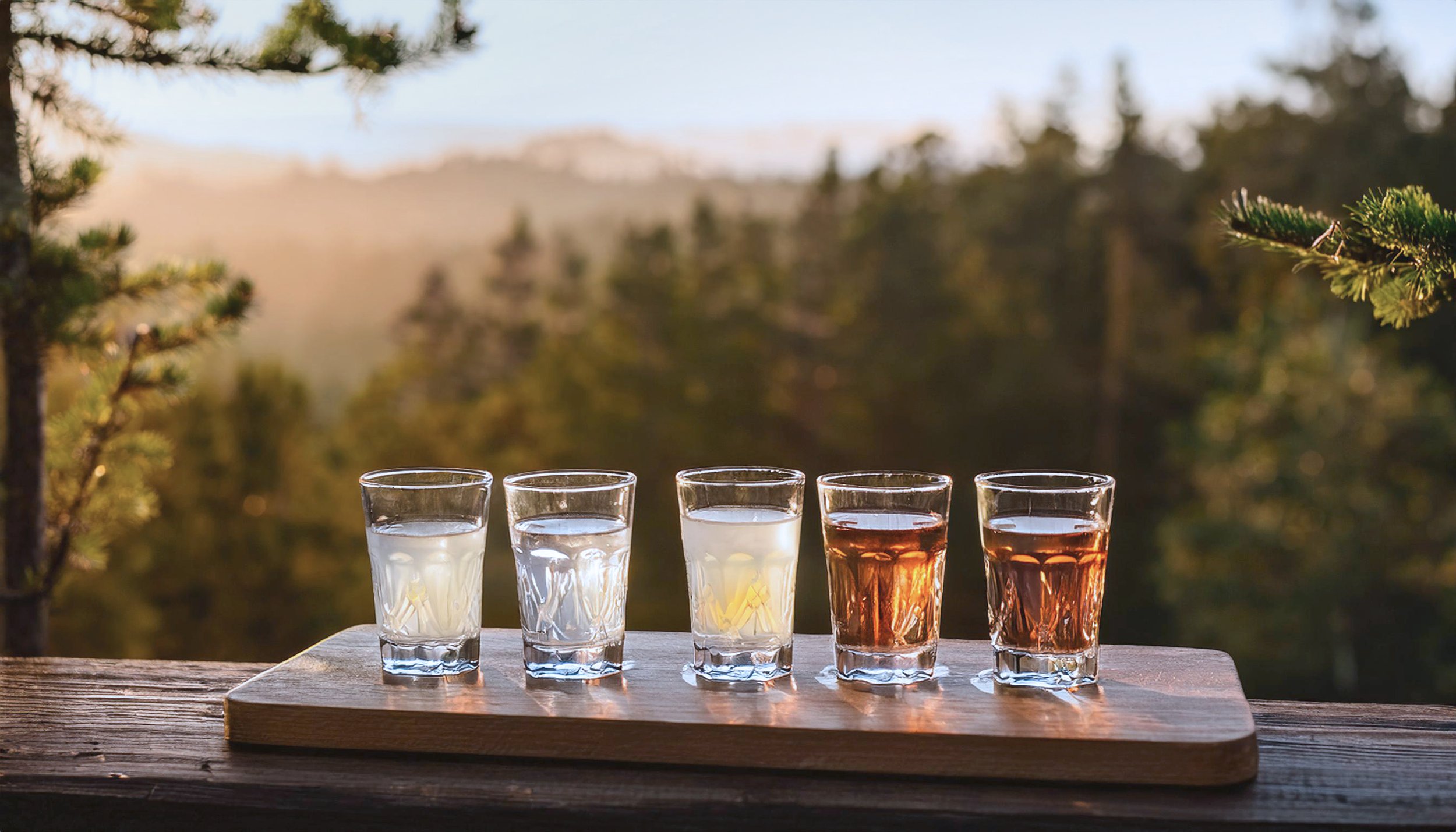 Cocktails_InSitu__ShotsLinedUp_PineForest.jpg