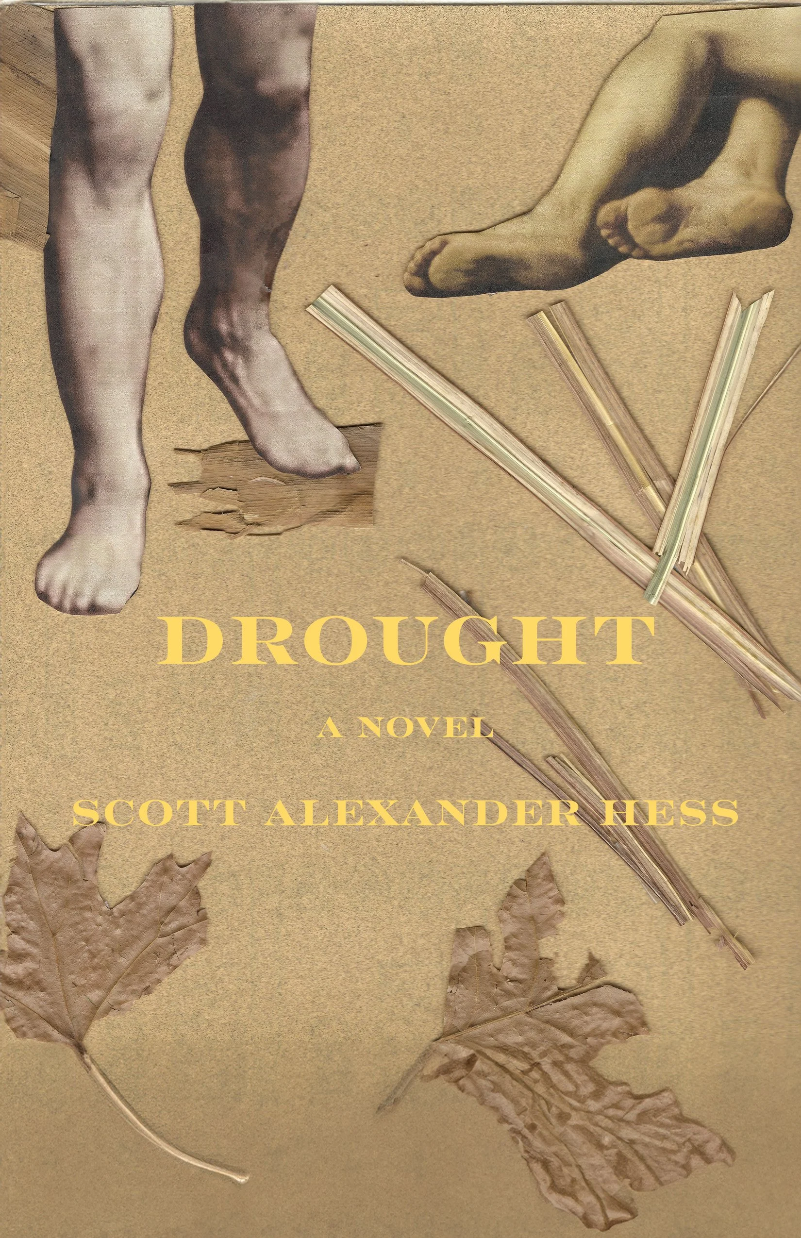 Scott's Drought Novel Launch Event W/ Lyrics Lit &amp; Liquor 