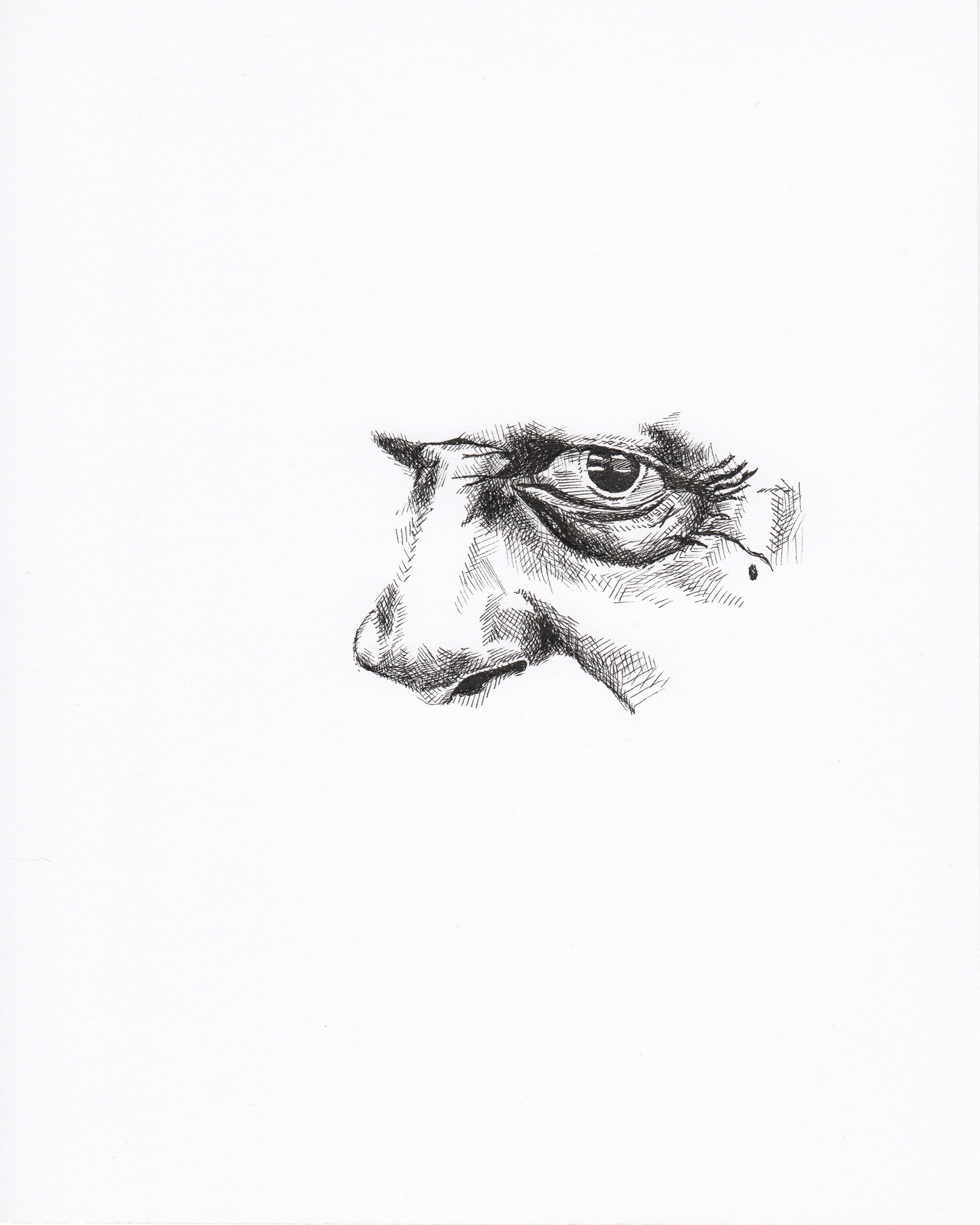 r l burnside web.jpg