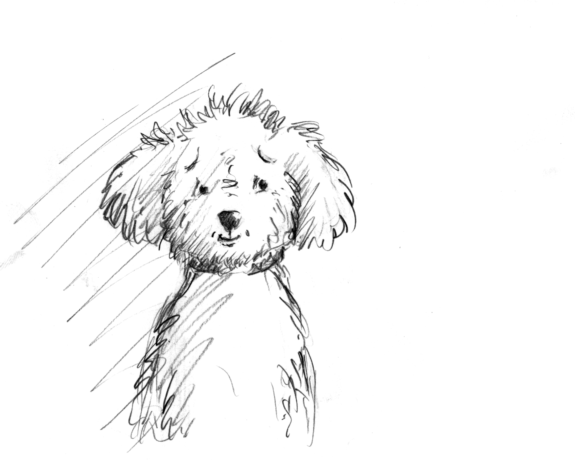 First sketch of Toby