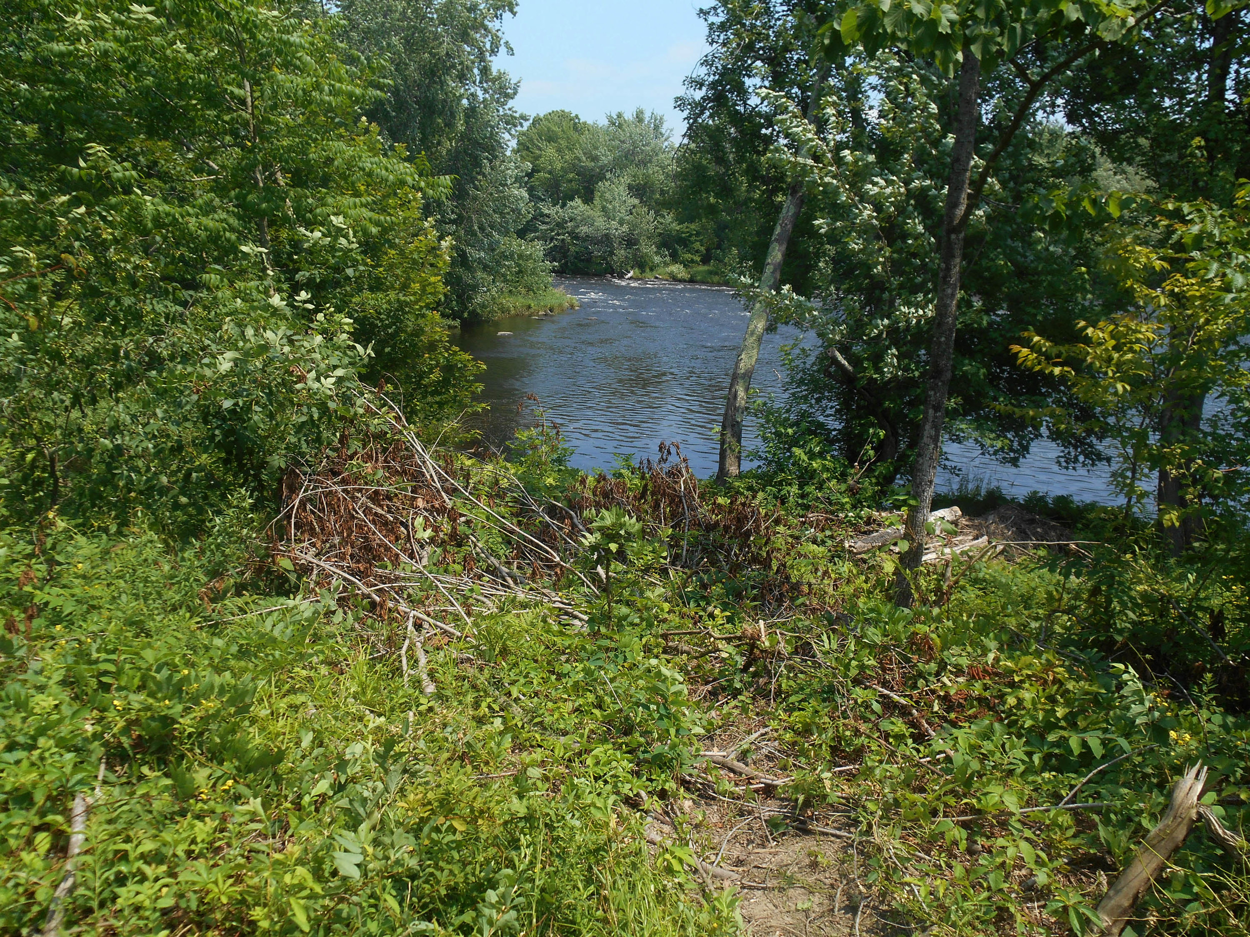 End of trail.jpg