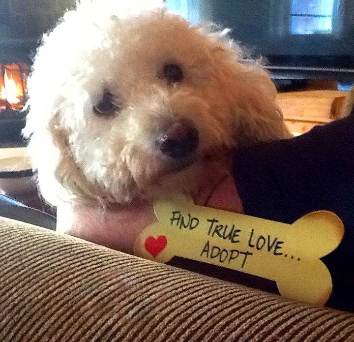 Toby says thank you and sends a message
