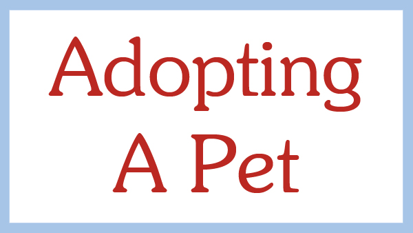 Adopting a Pet.jpg