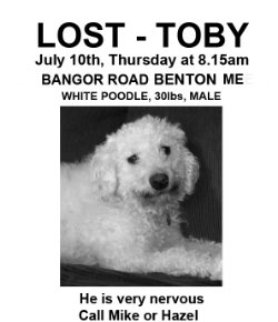  Toby's famous 'LOST' poster