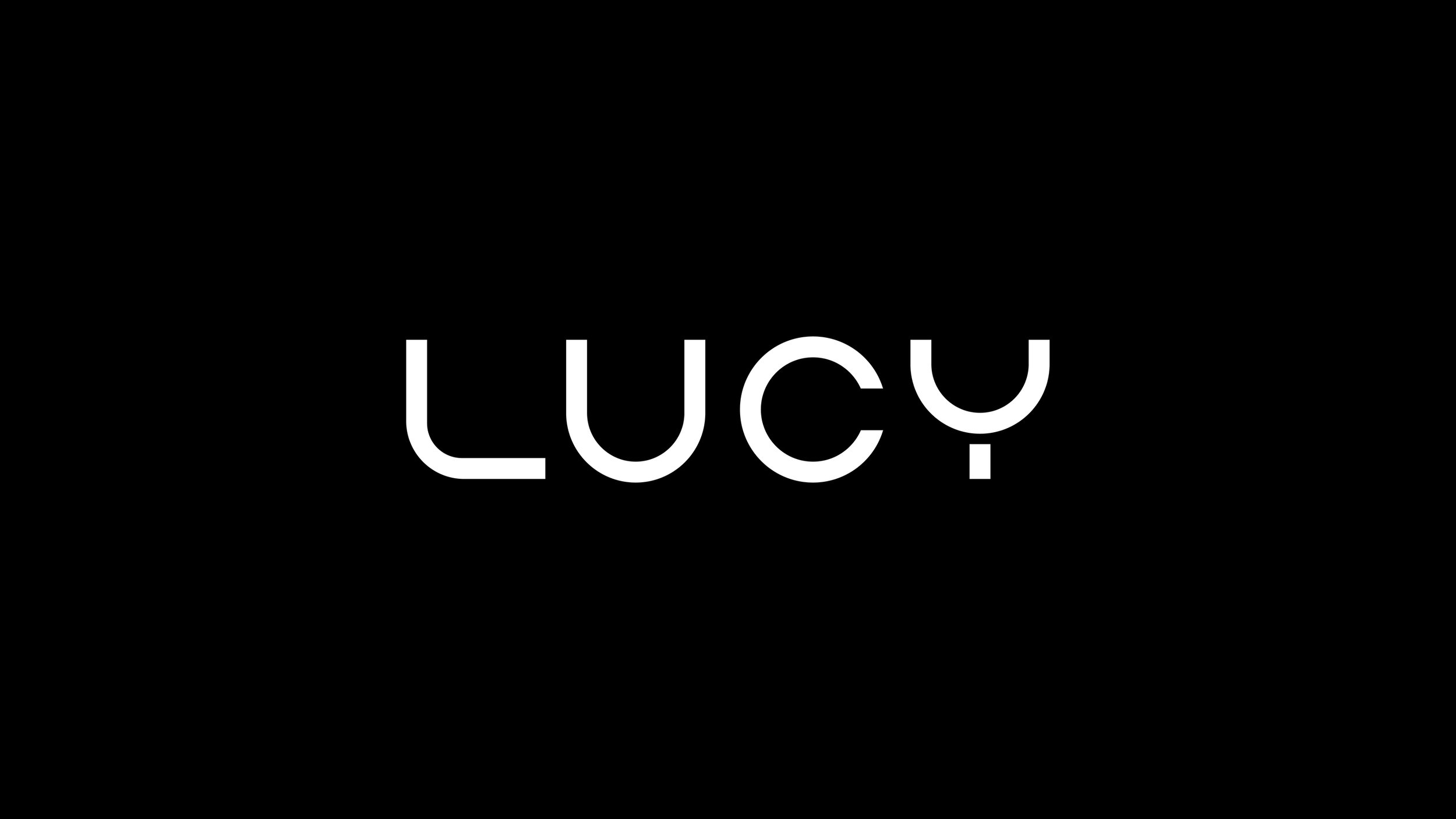   LUCY  | Identity Design | Highly Confidential | 2017 