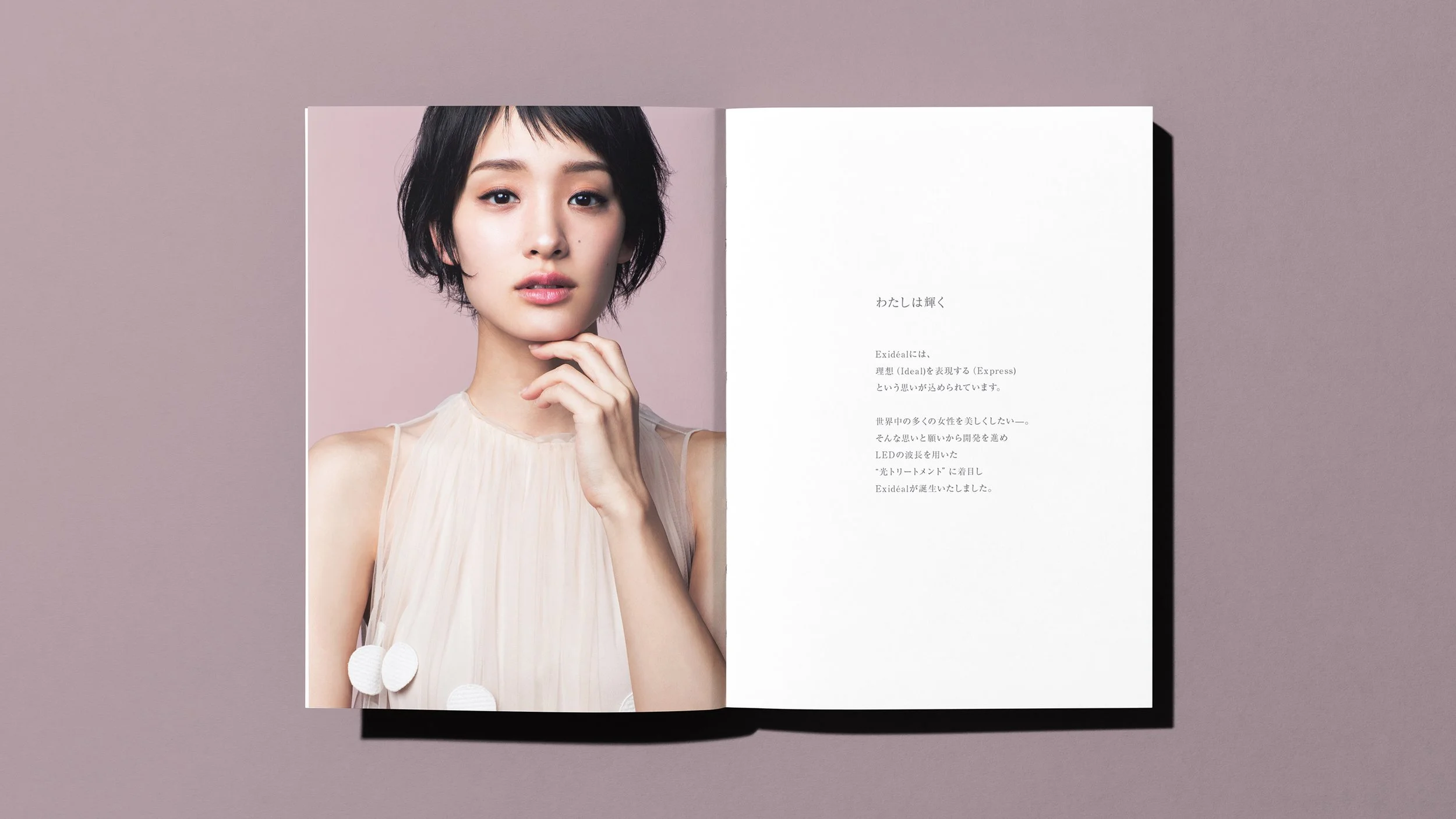 Exideal_Brochure-2.jpg