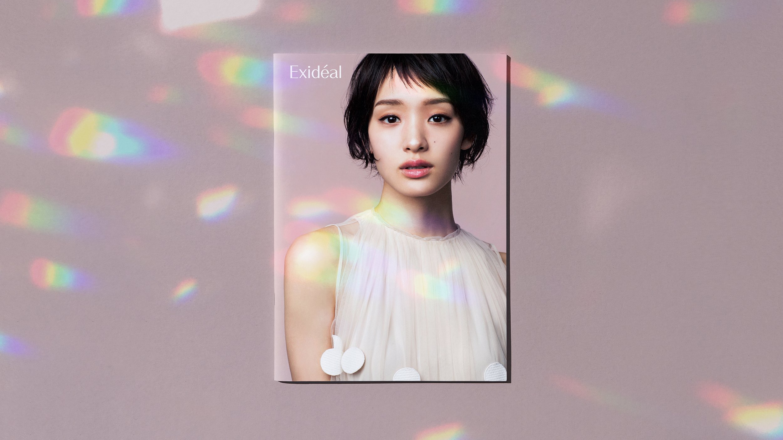  EXIDÉAL |  Brochure Design | Lightair | 2020 