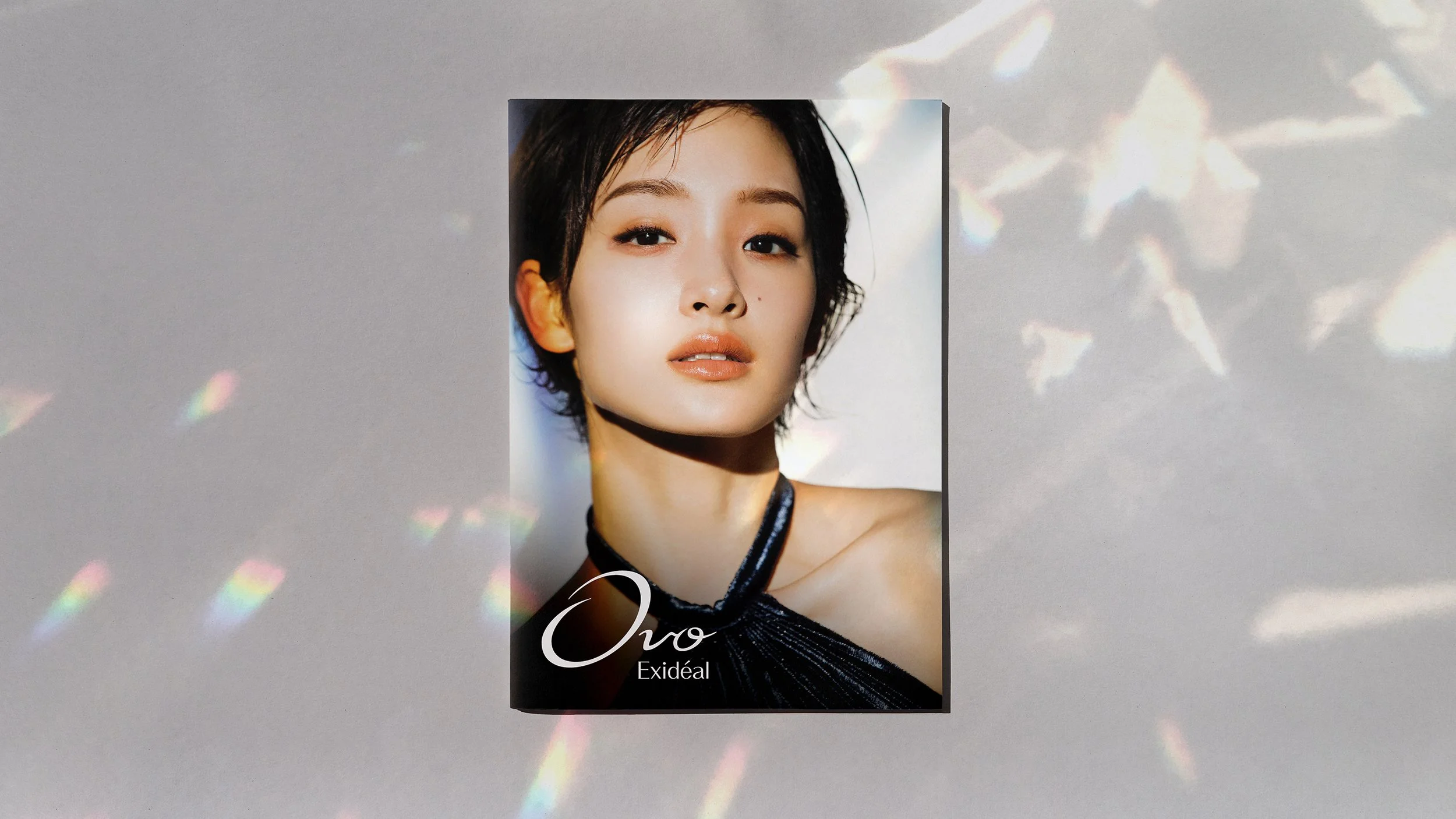 Exideal_Brochure-Ovo.jpg