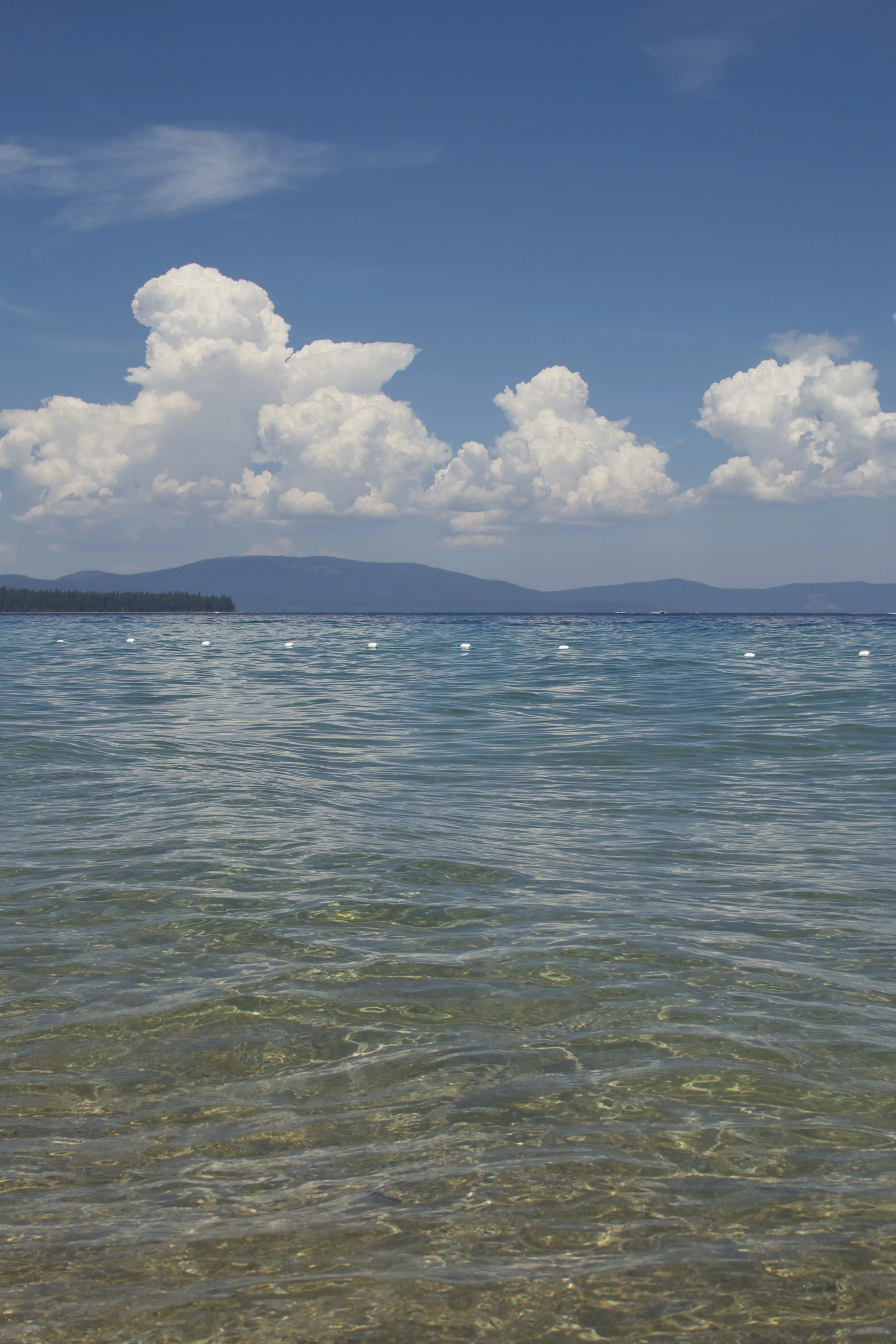 DSC_0138.jpg