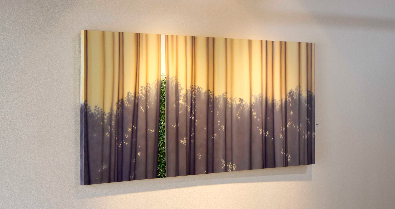 CARLO D'ALESSIO • Exposed, 2012 • Acrylic and varnish on board • 42 x 96 inches