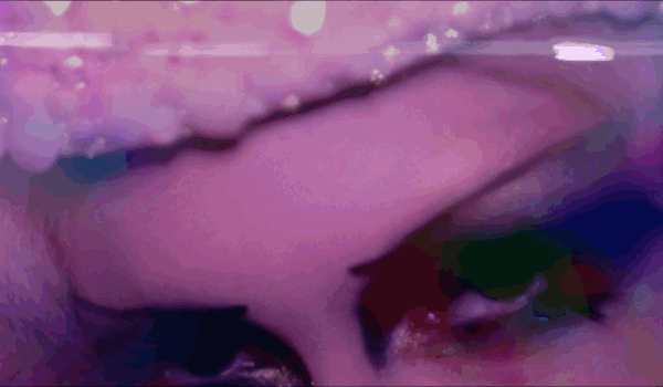 pearl face.gif