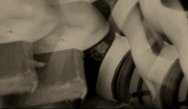 pp mm face and leg.gif