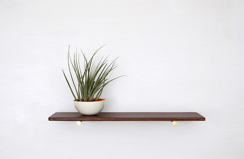 Brown leather shelf with decorative plant and bowl