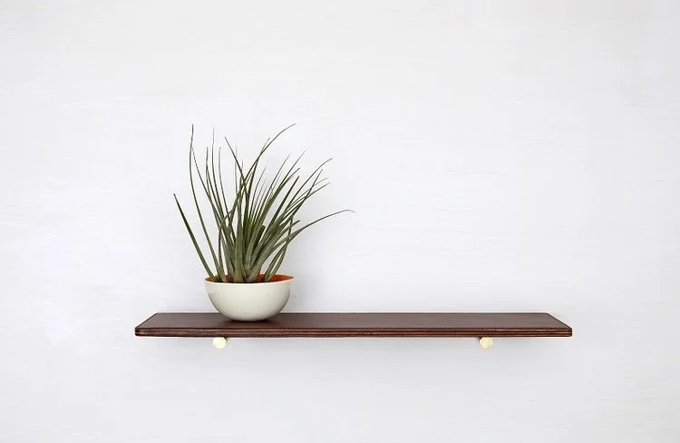 shelf+resized.jpg