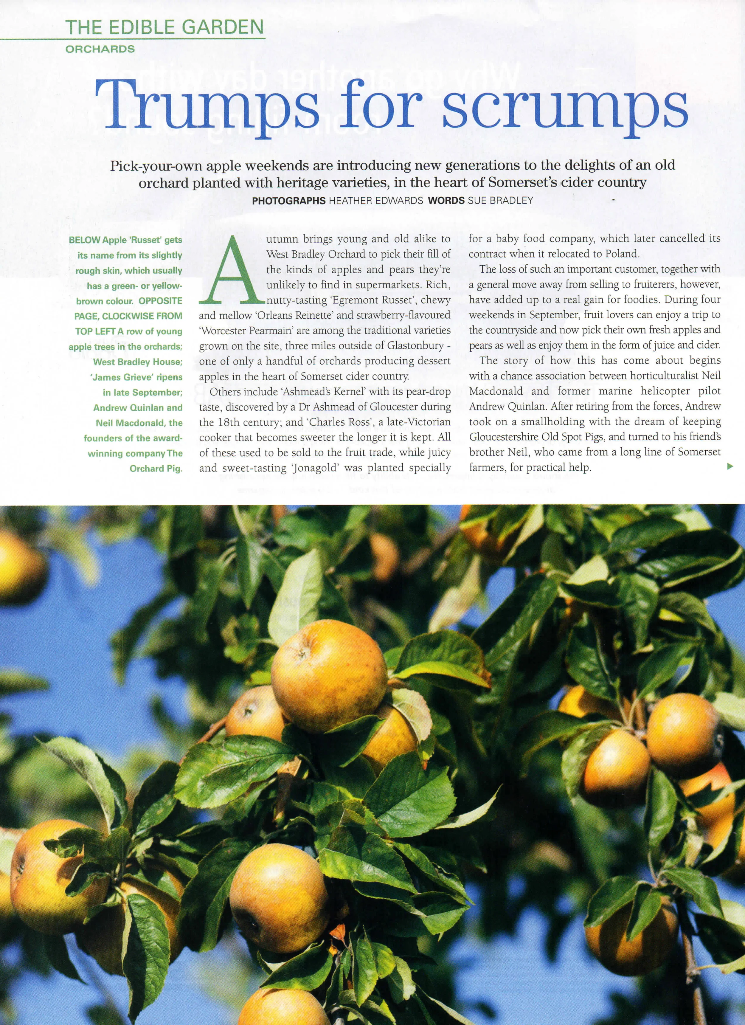 West Bradley Orchard EG001-1.jpg