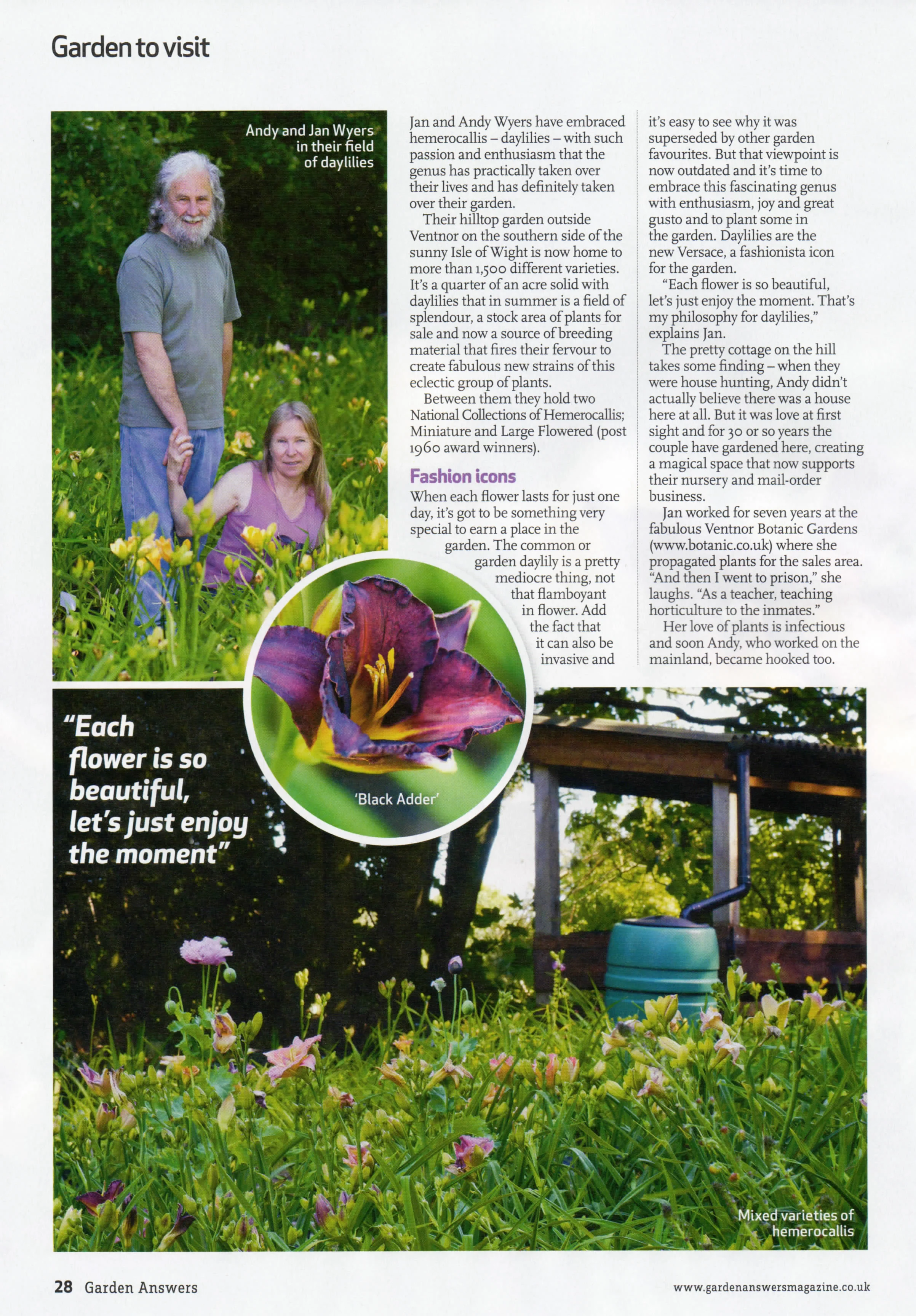 GA-Hemerocallis-3.jpg
