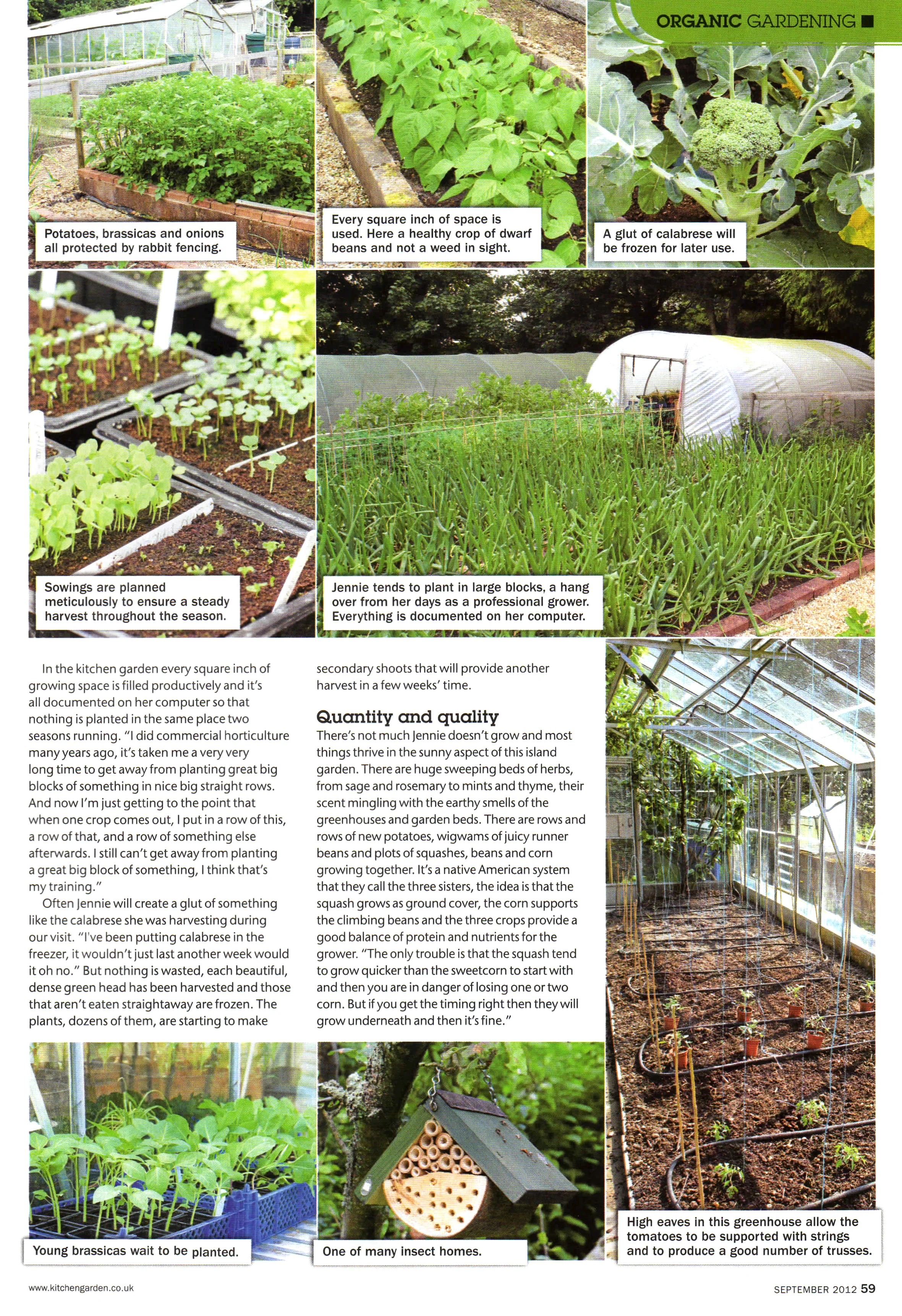 Kitchen Garden-Ashknowle-2.jpg
