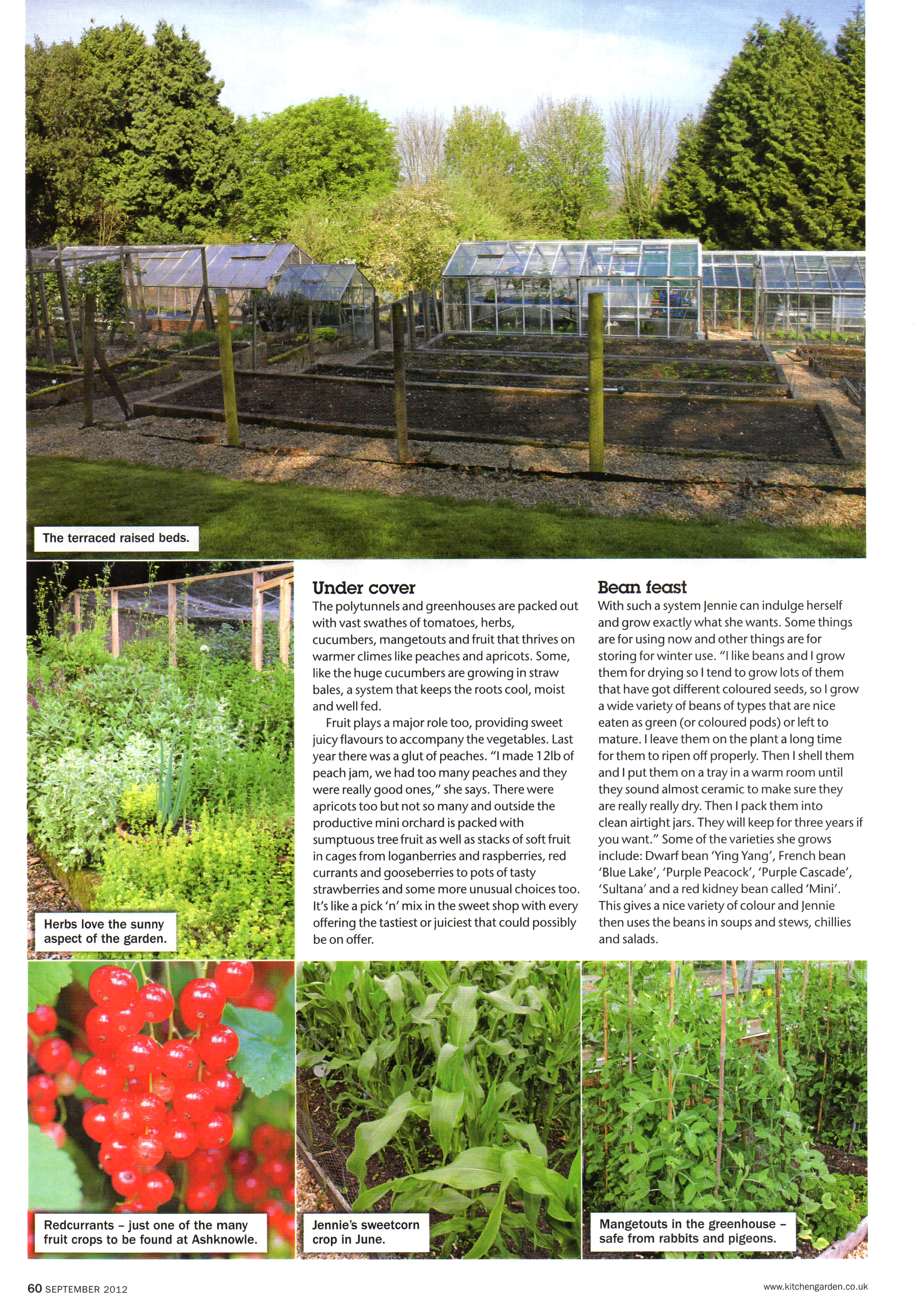 Kitchen Garden-Ashknowle-3.jpg