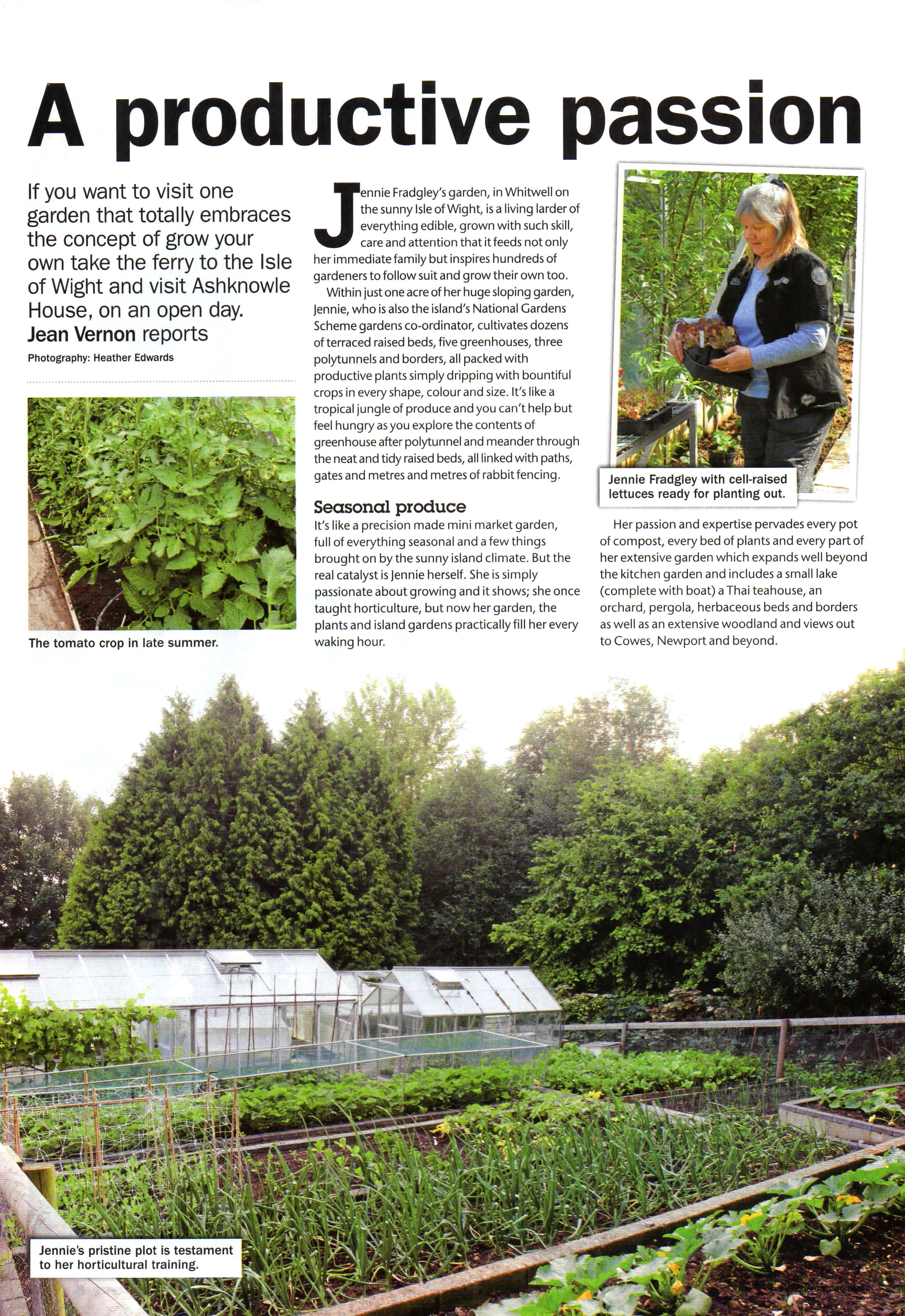 Kitchen Garden