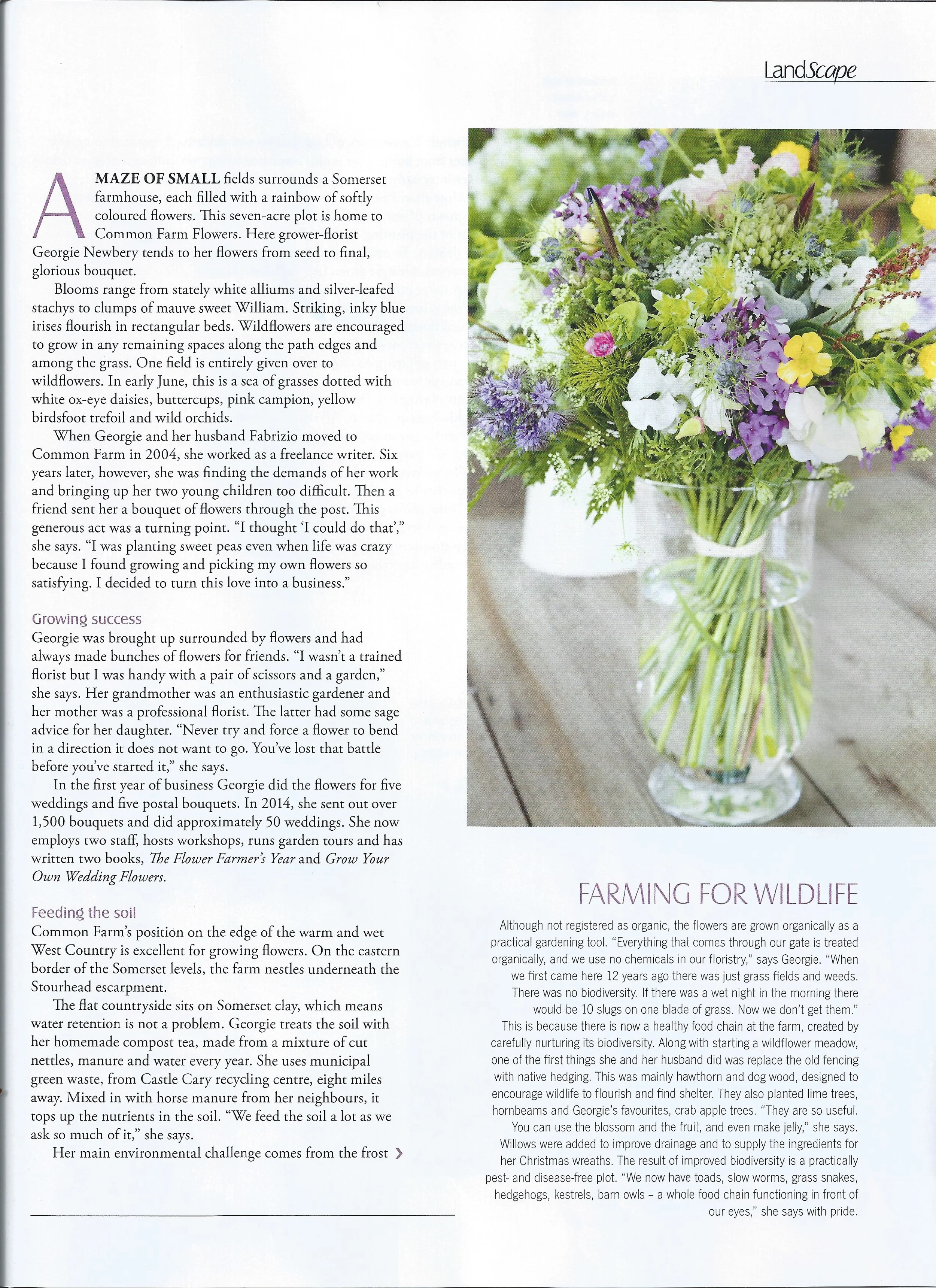 Landscape - CommonFarmFlowers - May - 2.jpeg
