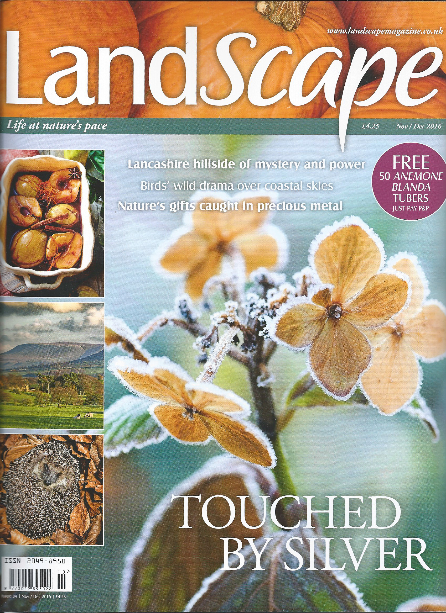 Landscape Nov 2016 Cover.jpg