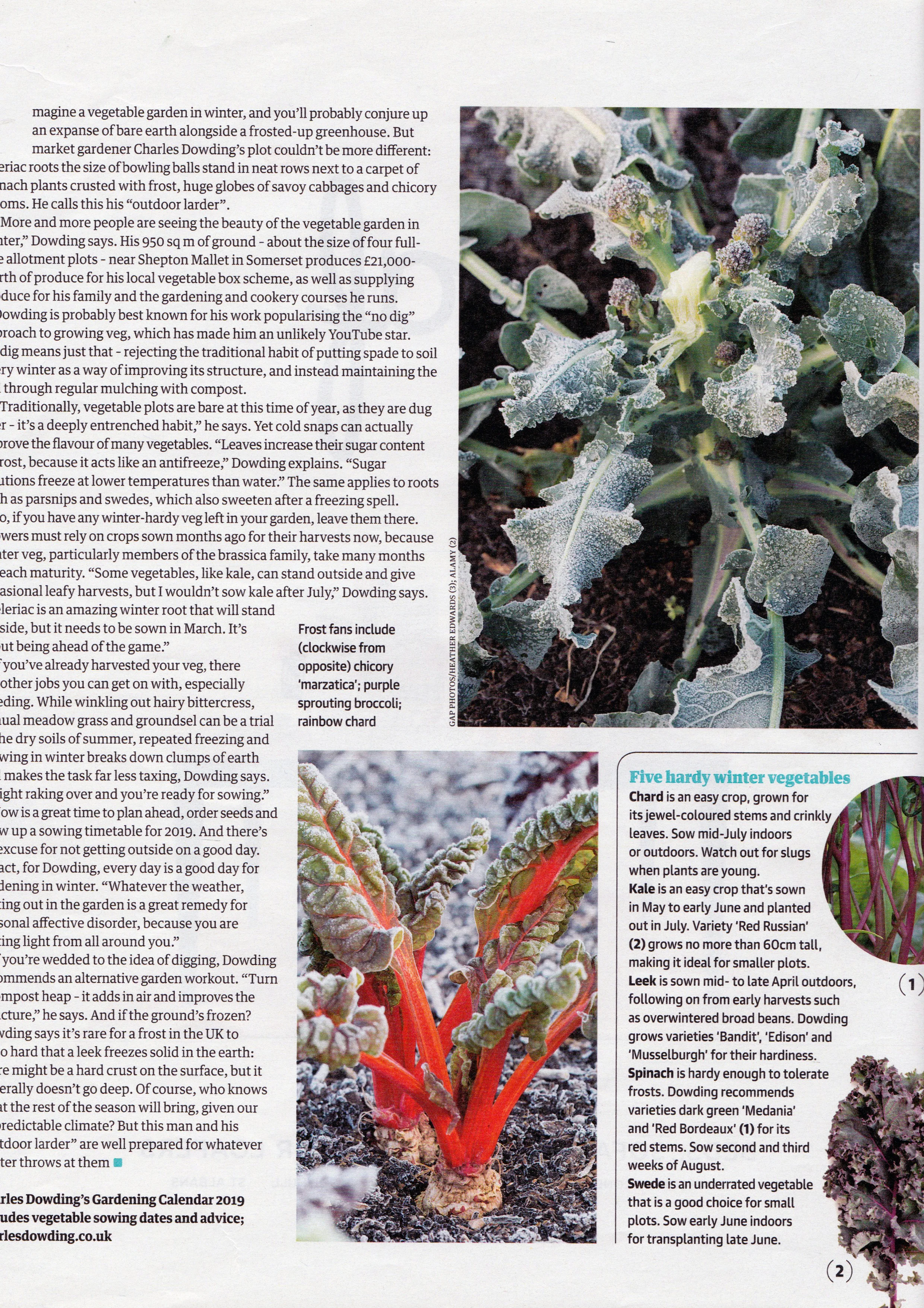 The Guardian - Weekend Suppliment - Dec 2018 2.jpg