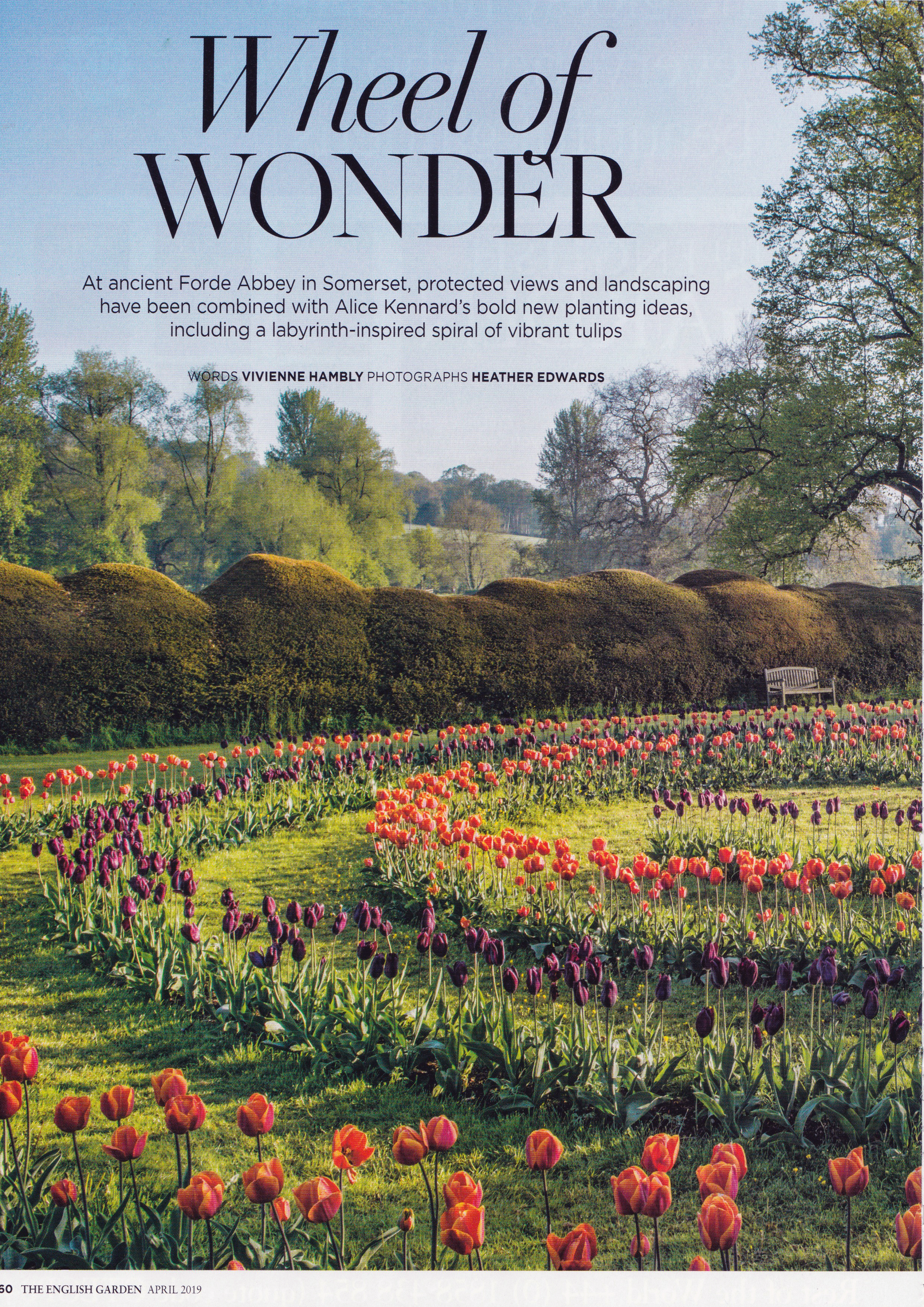 English Garden - Wheel of Wonder - Apr 2019.jpg