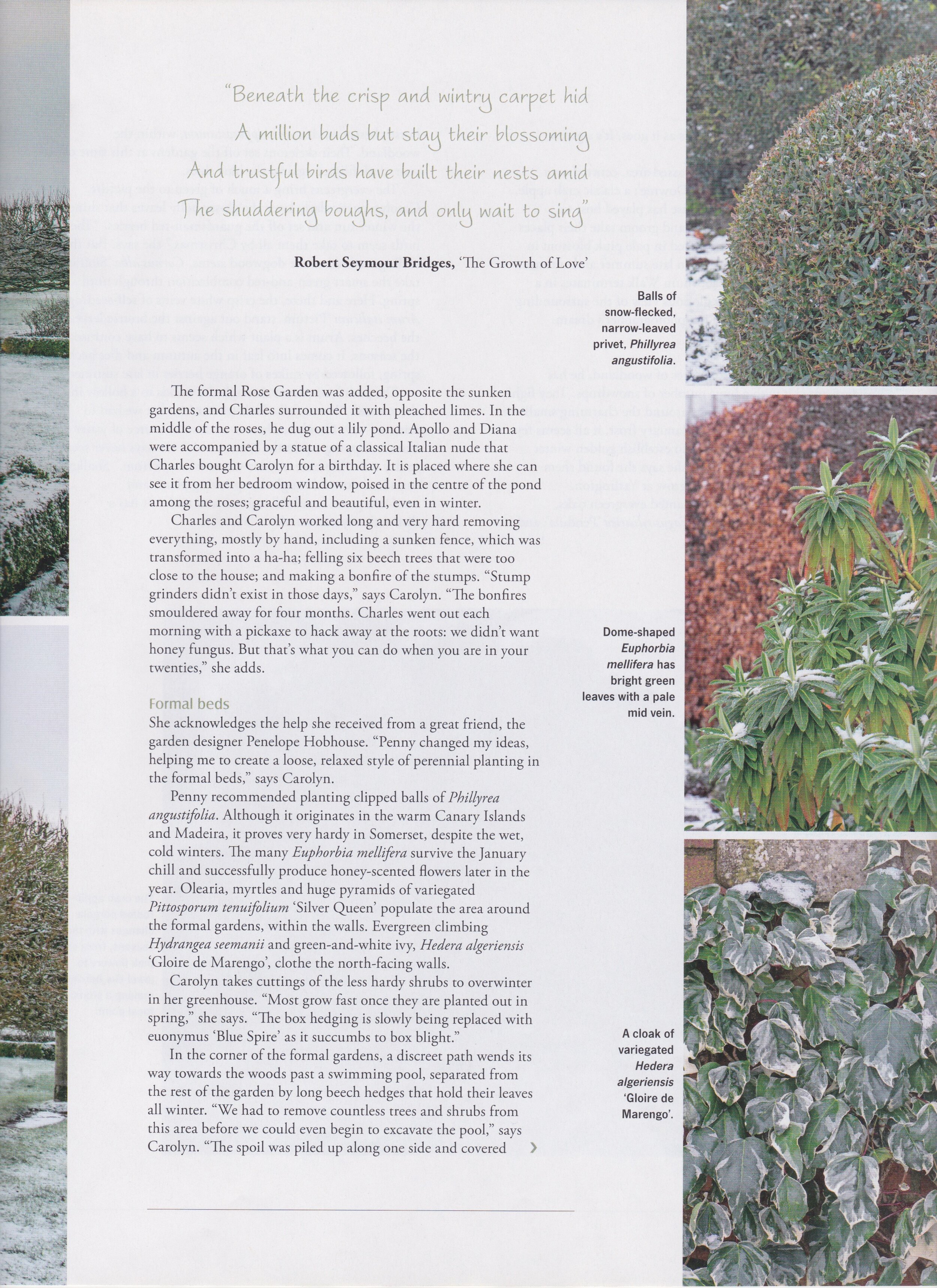 Landscape - Yarlington-6 - Jan 2020.jpeg