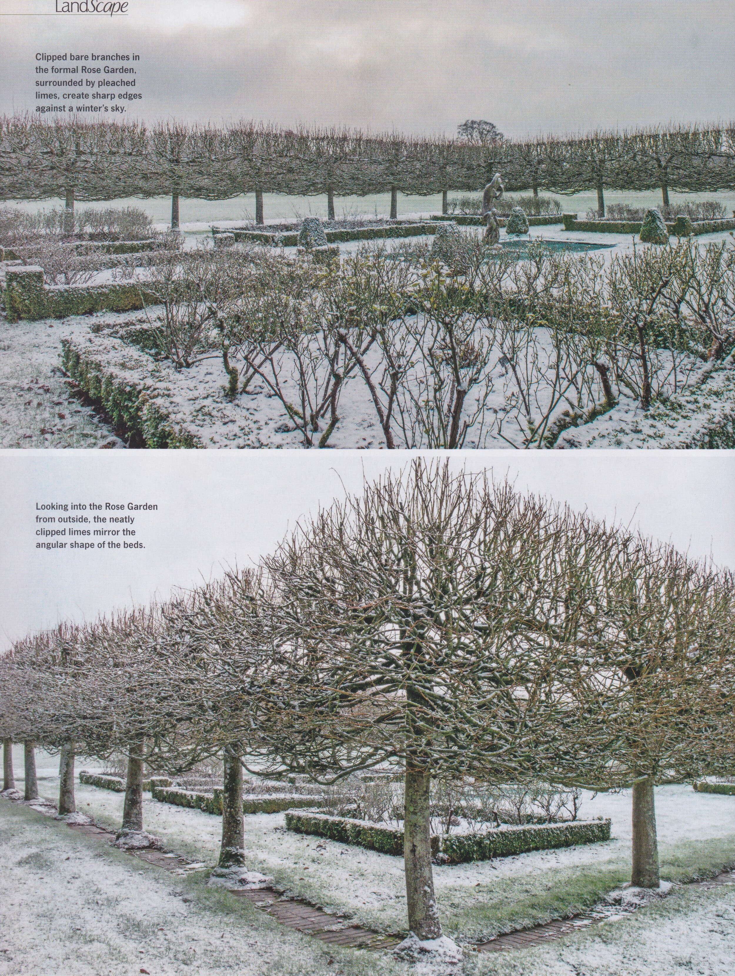 Landscape - Yarlington-5 - Jan 2020.jpeg