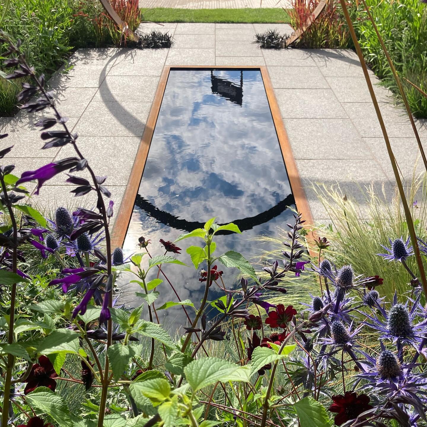 #sunburst @garden_hero @simonprobynsculptor #charliebloom #showgarden #gardendesign #reflectivepool #waterfeature #hamptoncourtflowershow