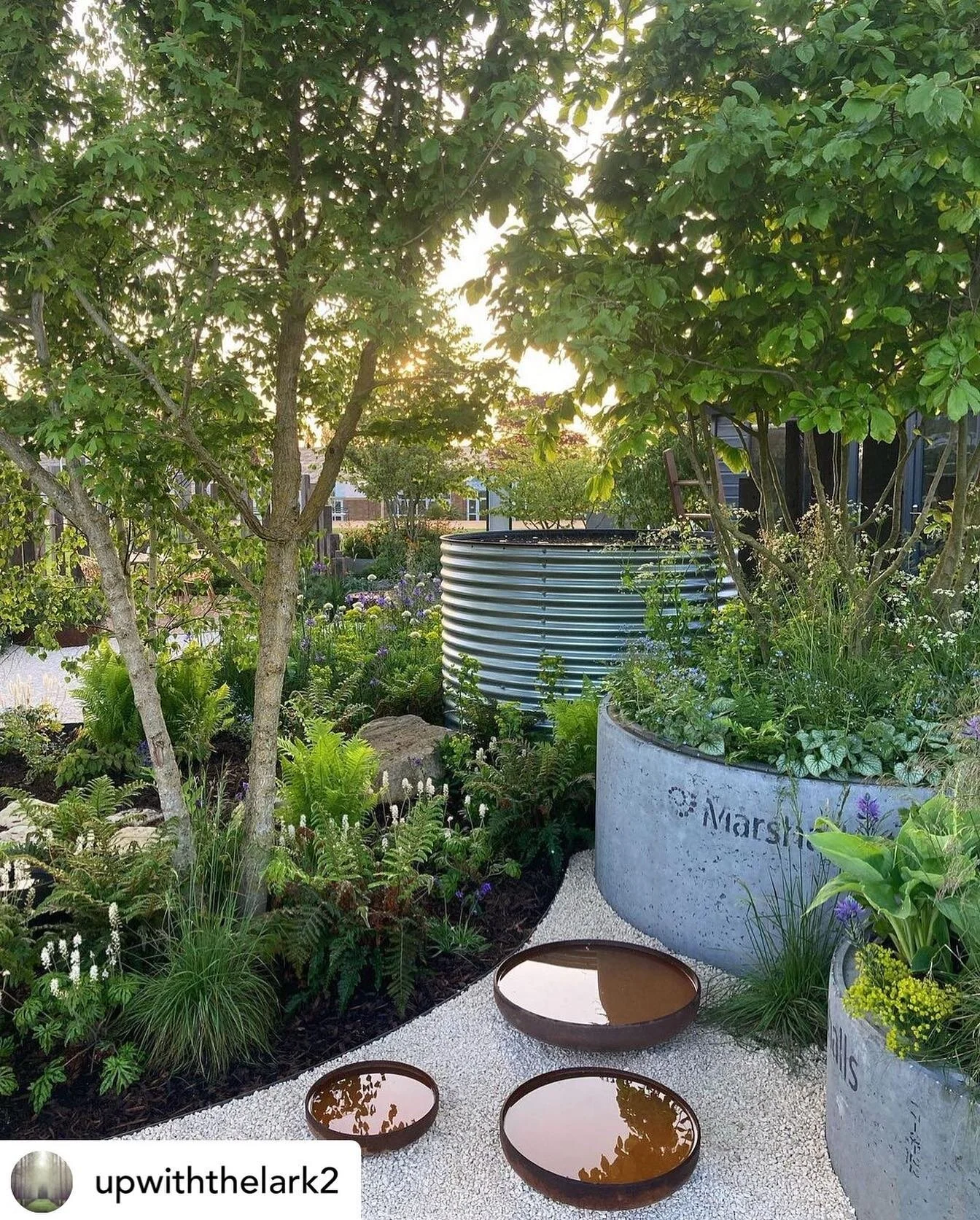 Posted @withregram &bull; @upwiththelark2 Another lovely sunny morning at @malvernshows 🌞 on the Vitamin G garden the light is gorgeous and love the dipping pool! @jowhiley @jesssilverball @alanwilliams_design @the_rhs #gardendesign #gardenphotograp