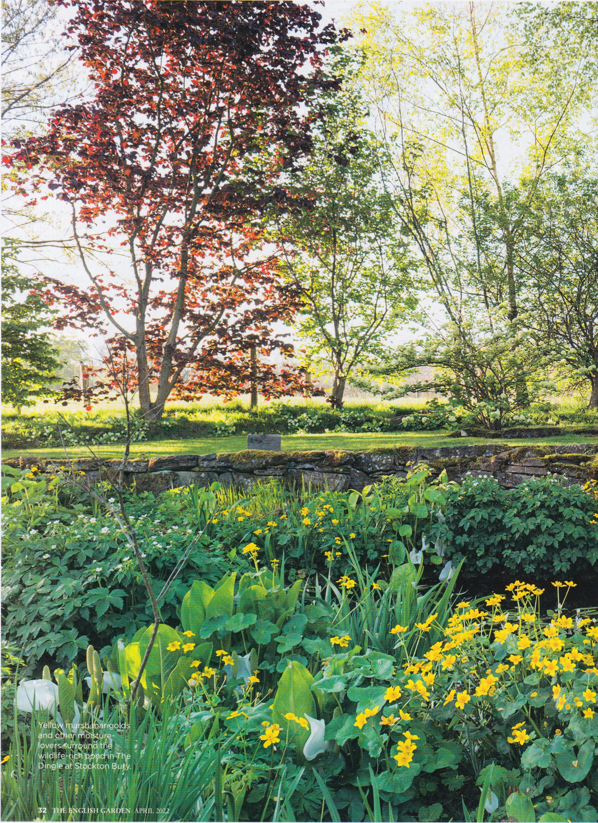 TEG - Stockton Bury - 1.jpeg