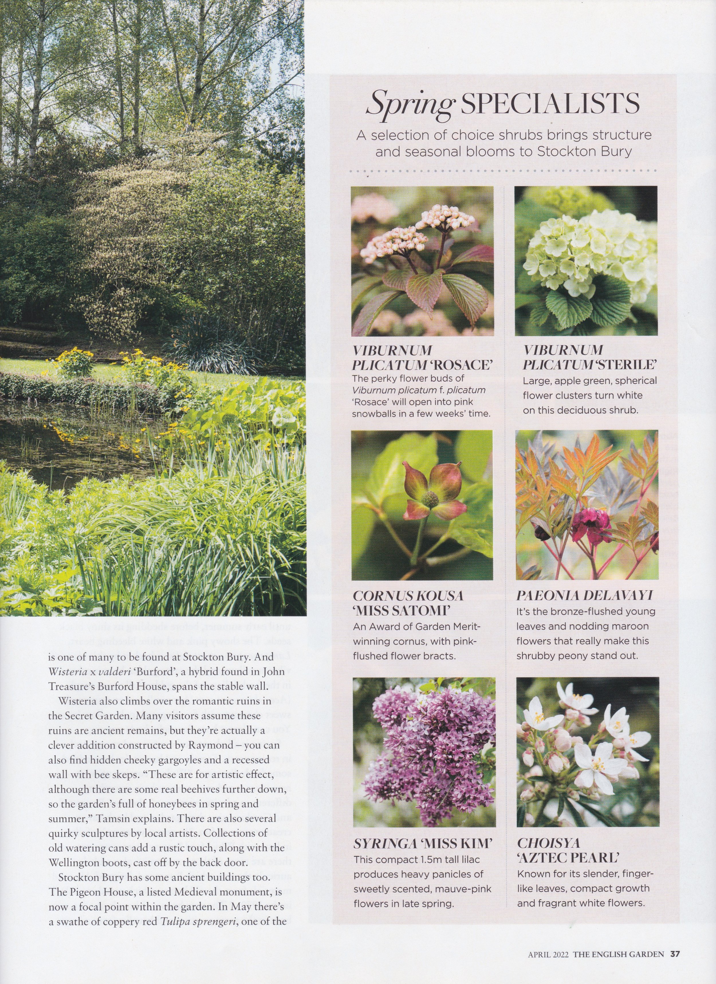 TEG - Stockton Bury - 6.jpeg