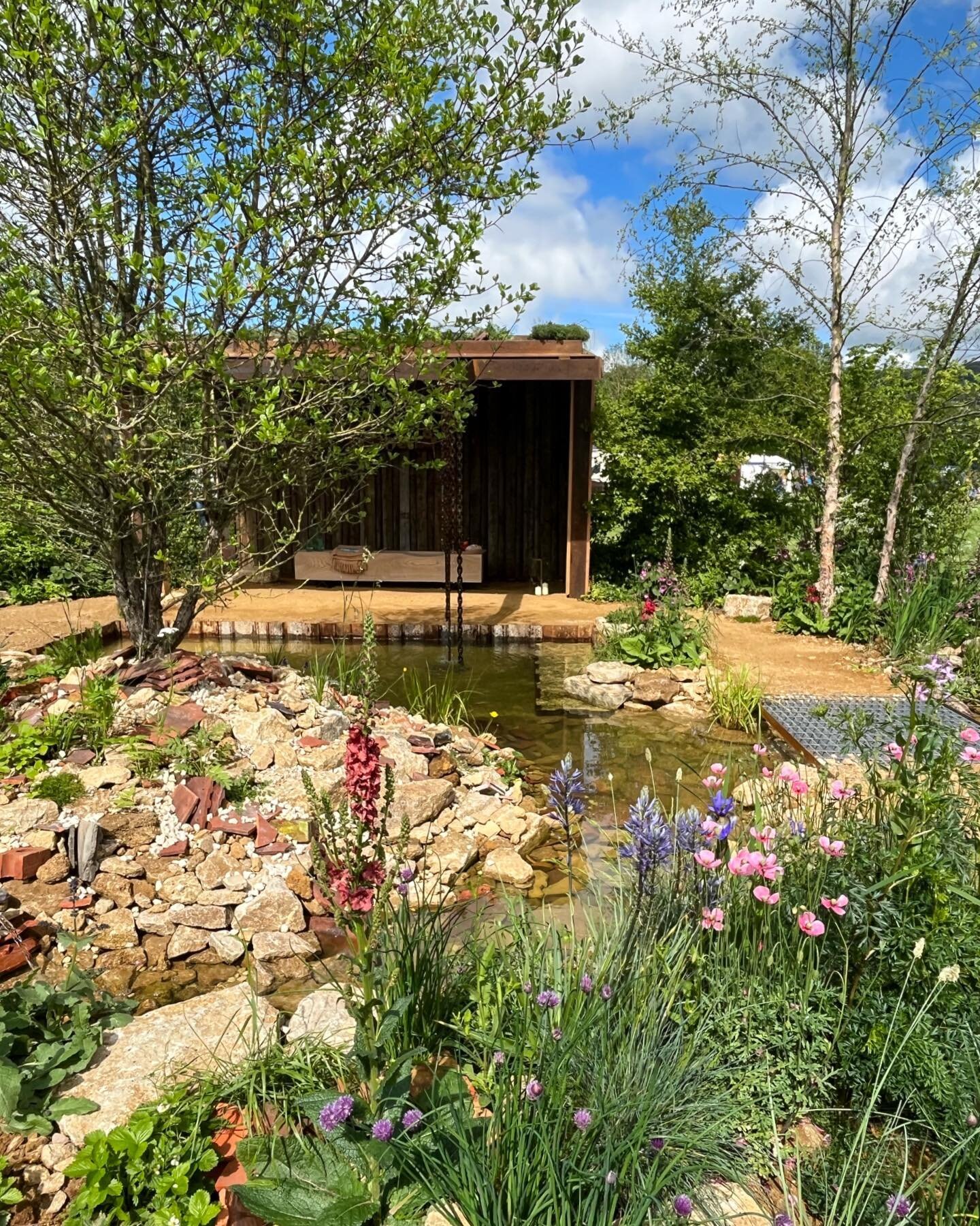 Beautiful garden by @jamielanglandsgardens sponsored by @thewildlifetrusts at @rhsmalvern has won Gold, Best in Show and Best Construction 👌👏 #showgarden #gardendesign #gardenphotography #wildlifegarden #sustainable @the_rhs @3countiesshows