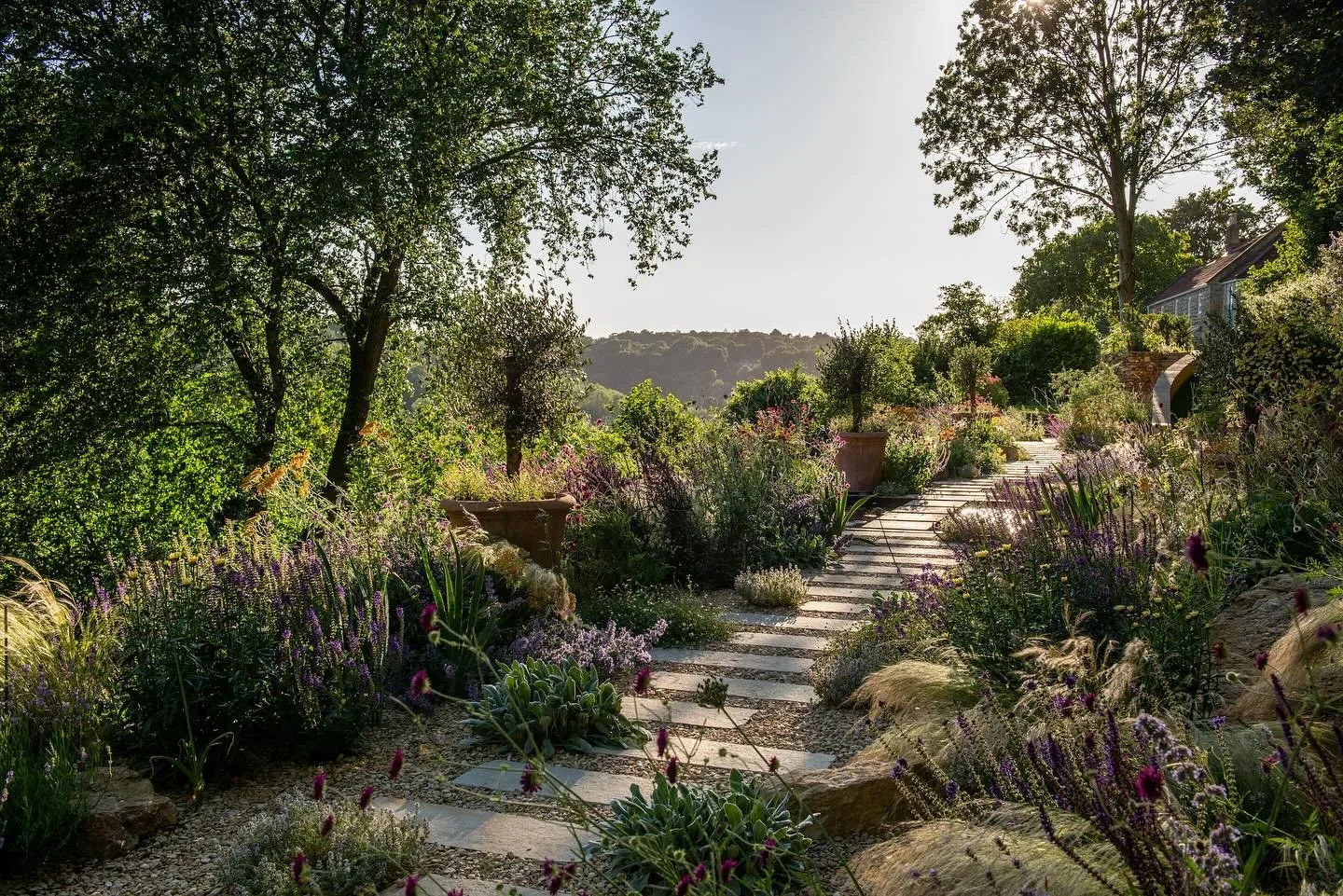 Thank you to @fi.boylegardendesign and the owners of Mellowstones for allowing me to photograph their beautiful garden. Out now in @theenglishgardenmagazine August issue. #gardenphotography📷 #gardendesign #beautifulgardens @wiltshirengs #plantlove #