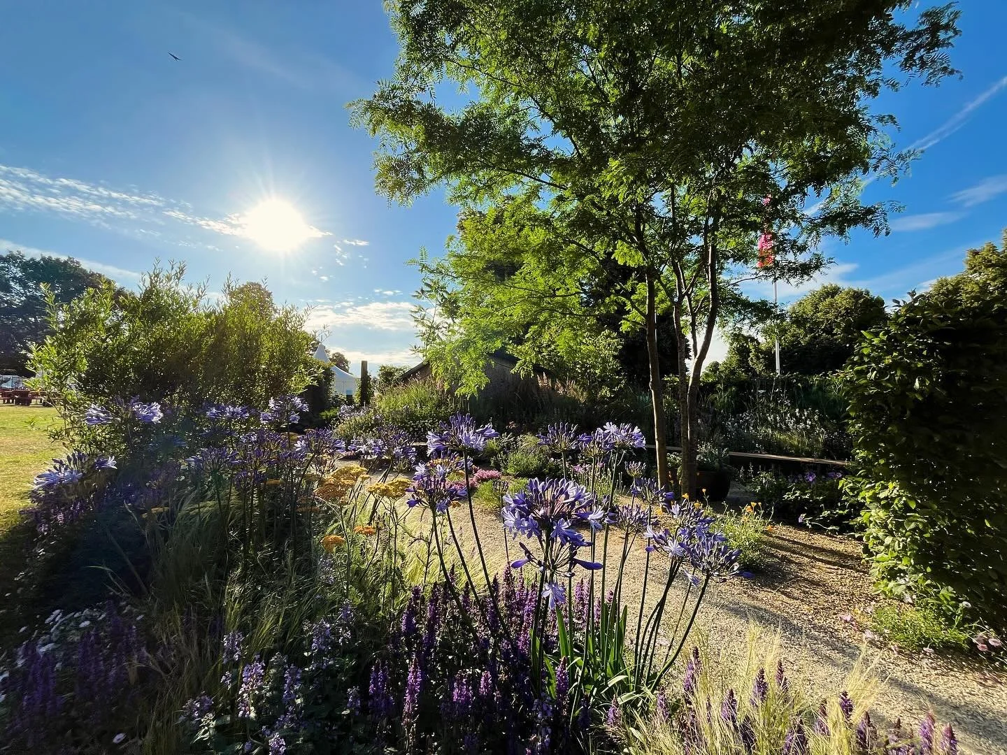 Worth the 5.30 start this morning @rhshampton_cpfs @the_rhs feature garden by Freddie Strickland @freddiestricklandgardens #showgarden #rhs #gardenphotographer #gardendesign #gravelplanting