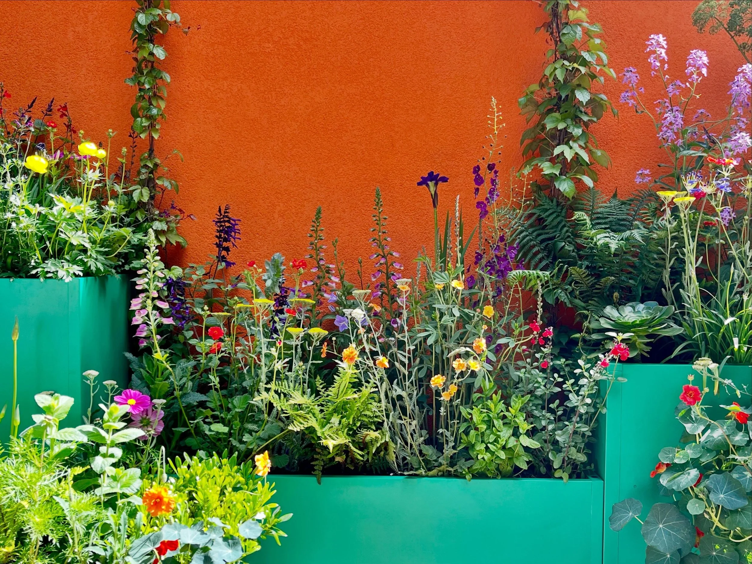 The Seasalt Painted Garden, designed by Lynn James.  Love the colour and planting in this garden inspired by the mid-century St Ives School artists and blends bold colour with repurposed filing cabinets as plant containers. @the_rhs #gardendesign #co