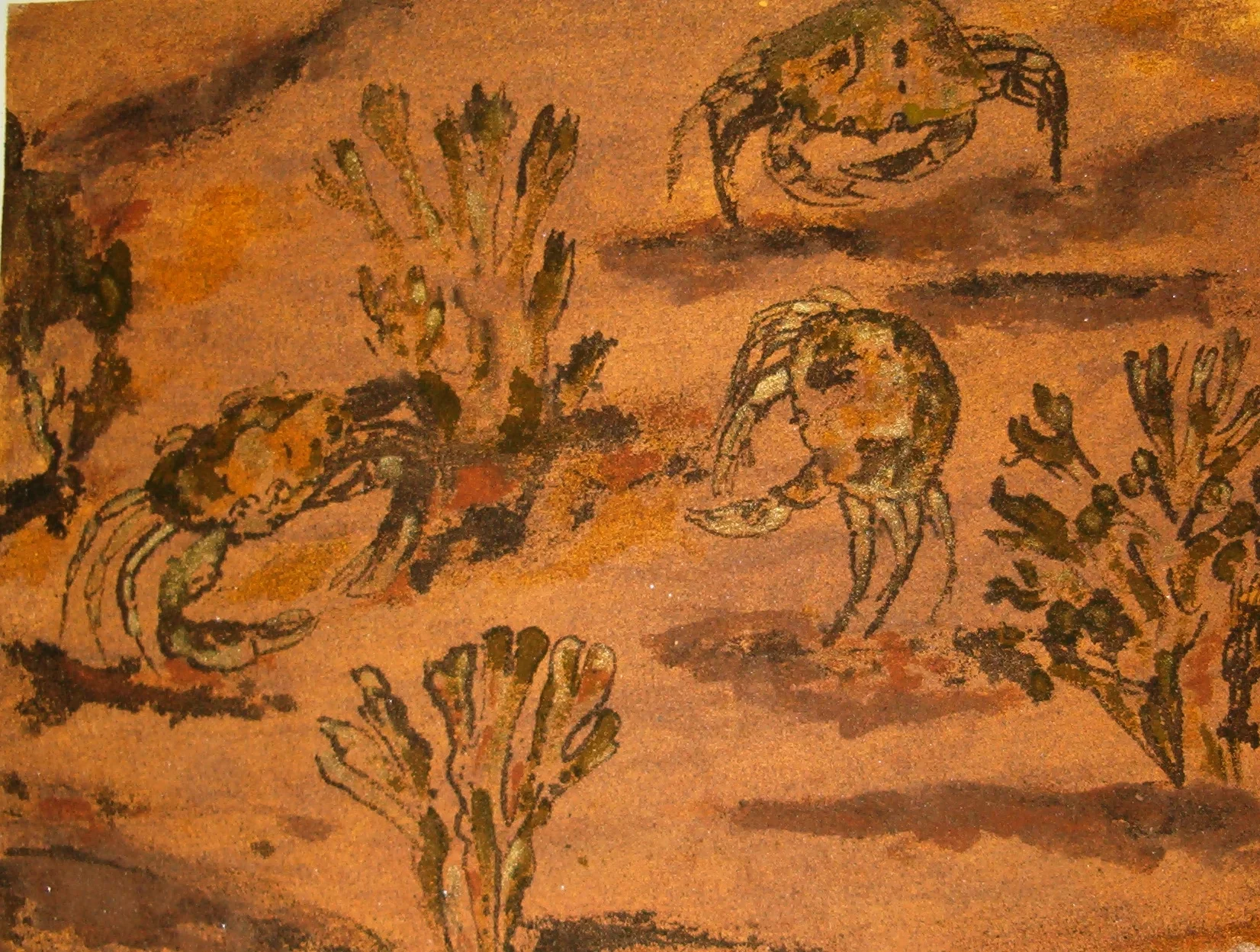 crabes 2003.JPG
