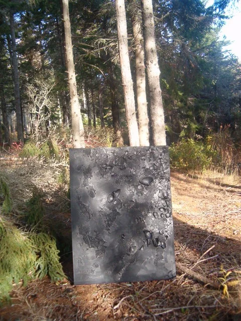HPIM0464.JPG