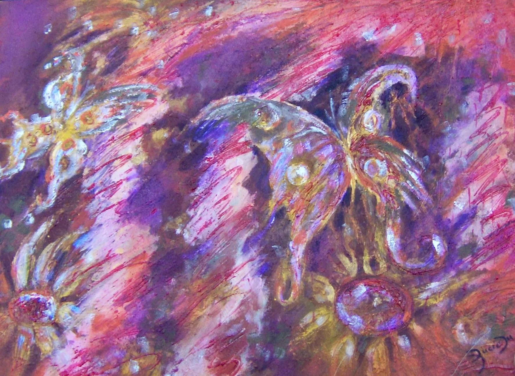 butterflies.jpg