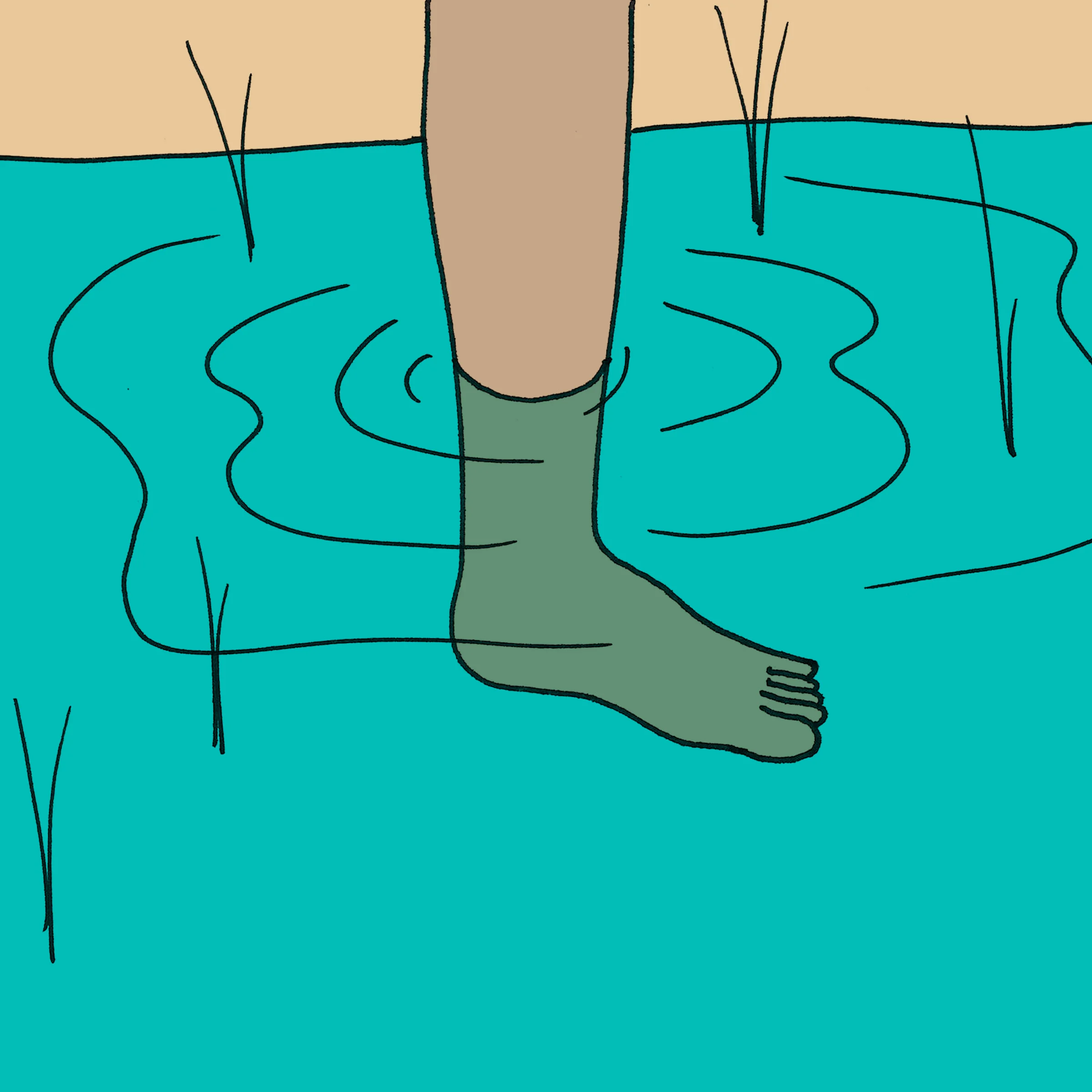 MEASURE WATER LEVEL IN RICE FIELDS WITH YOUR LEG