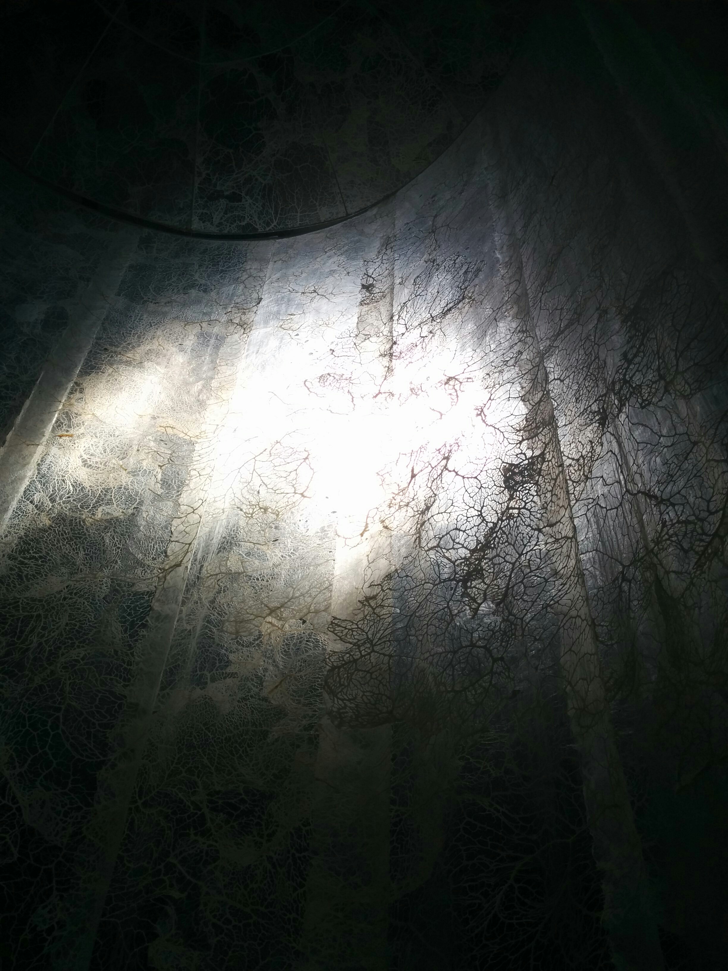 Elpida Hadzi-Vasileva, Fragility (Detail showing light)