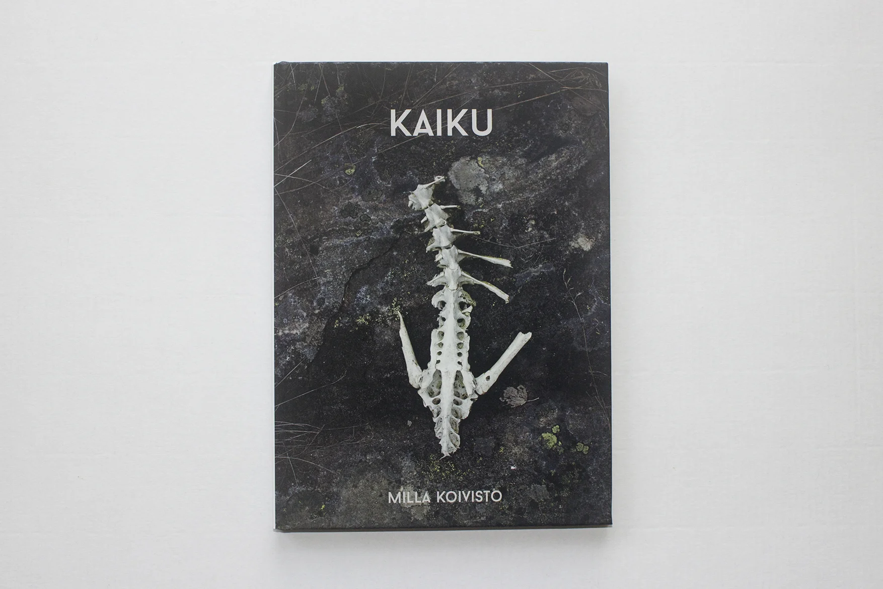 Shamanism and Humanity's disconnection from Nature - a preview of "Kaiku" by Milla Koivisto