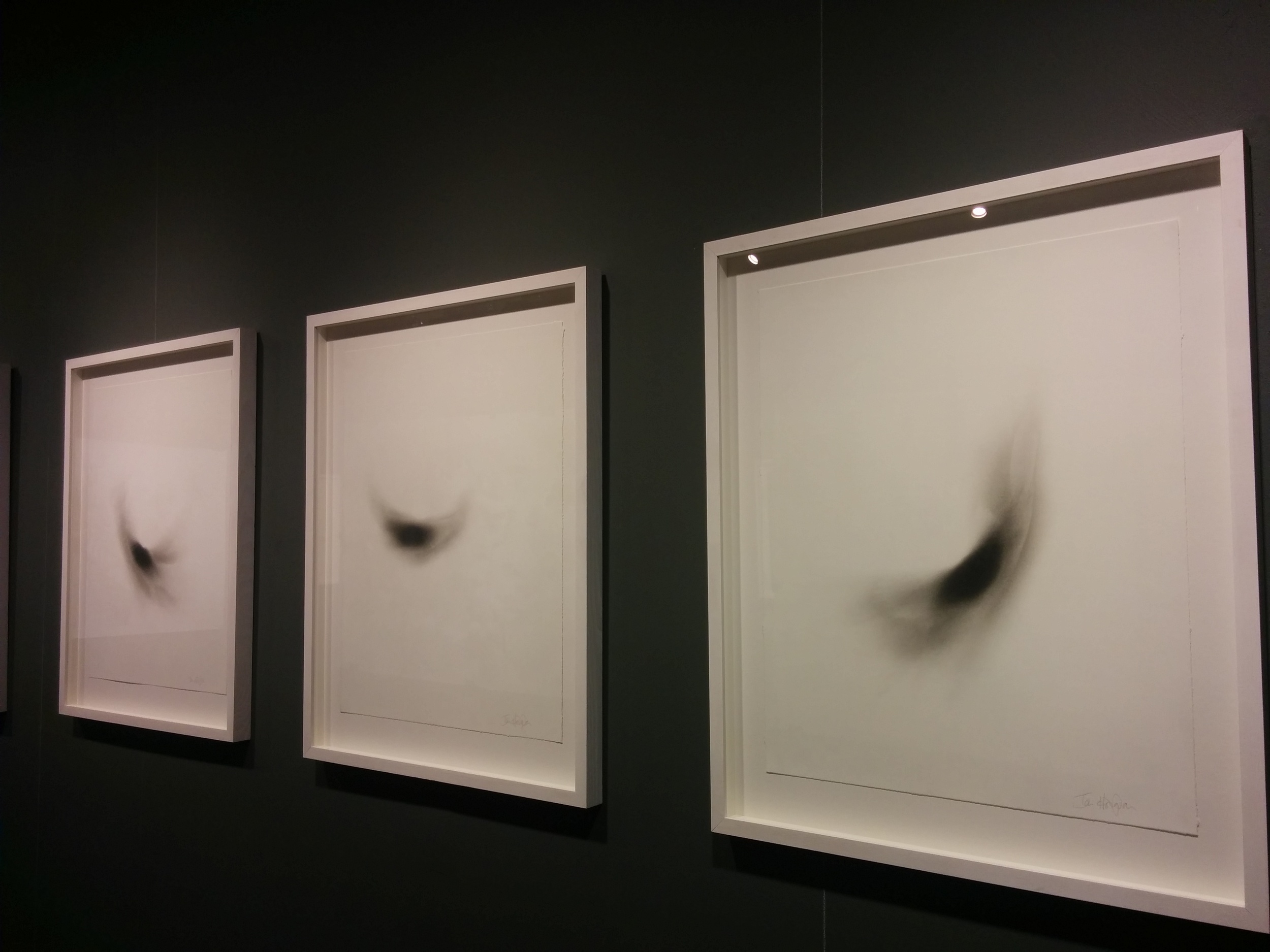 "Murmations" Series