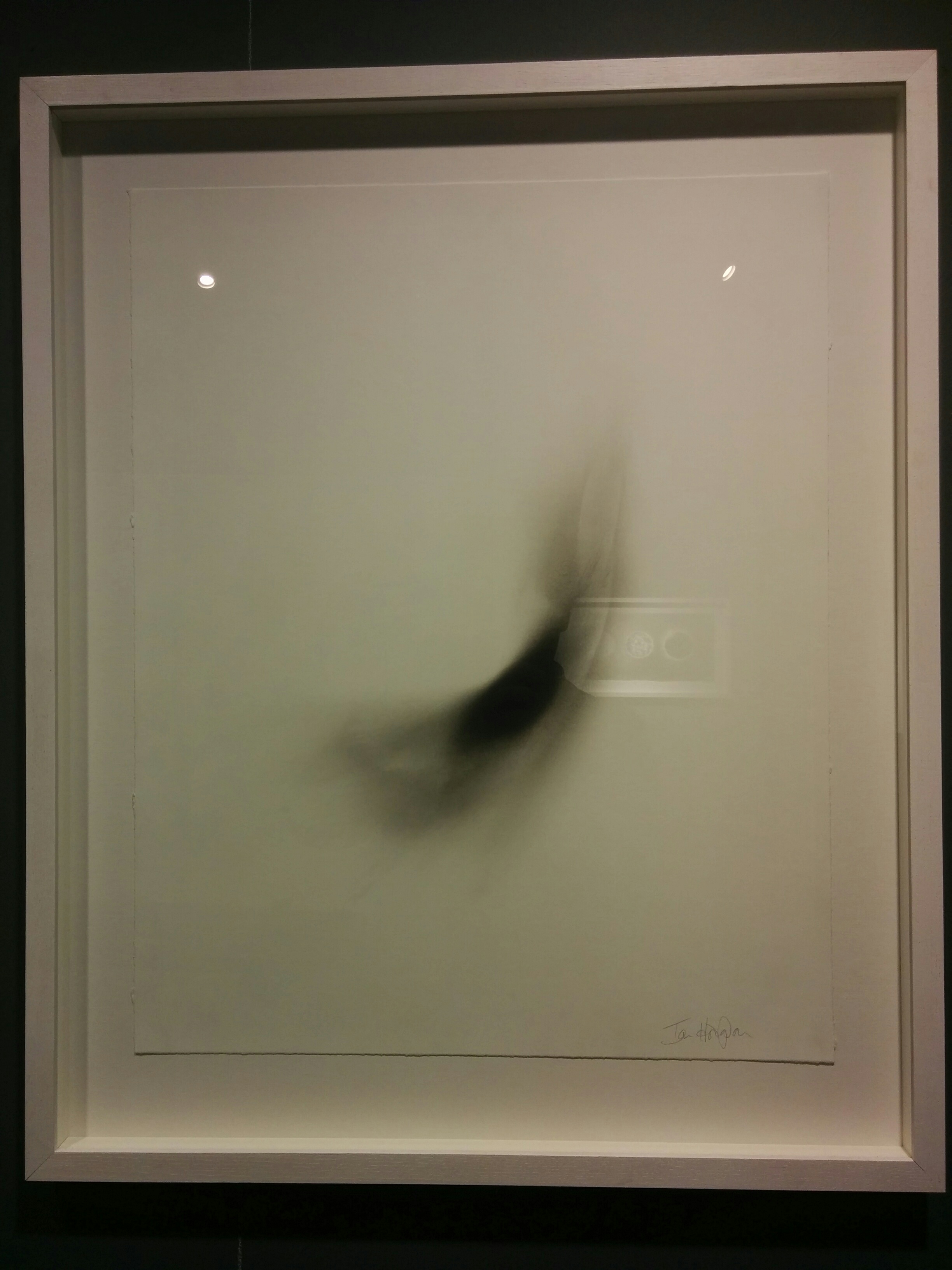 "Murmaration III"