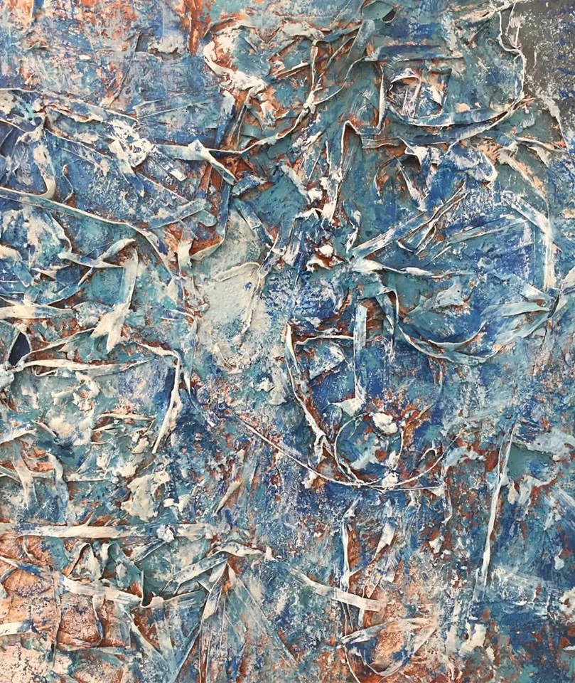 Save Posidonia Project 2017