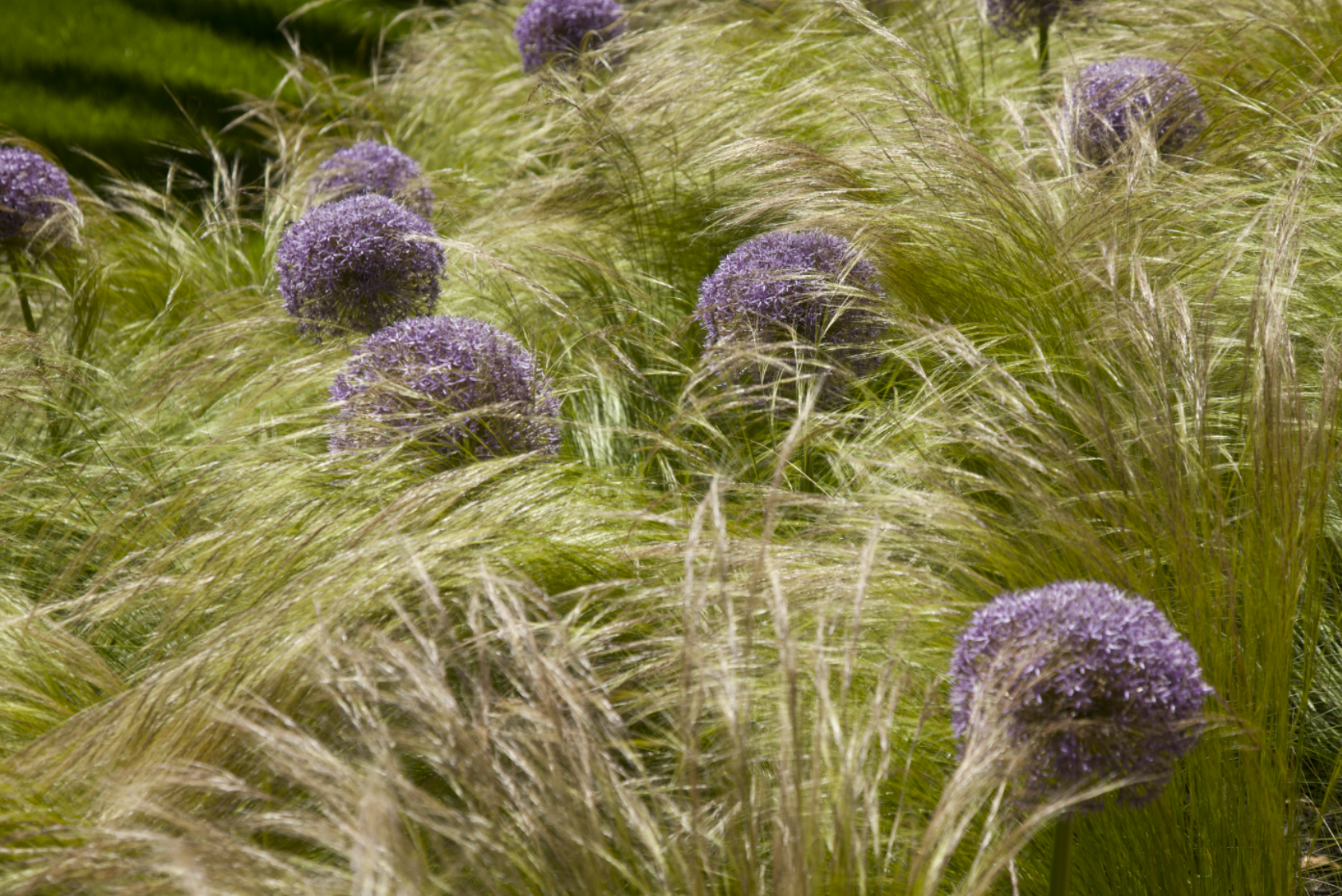 Screen Shot 2015-03-28 at 3.12.02 PM.png